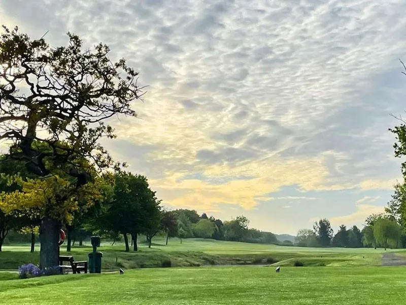 Natural landscape in Horsley Lodge