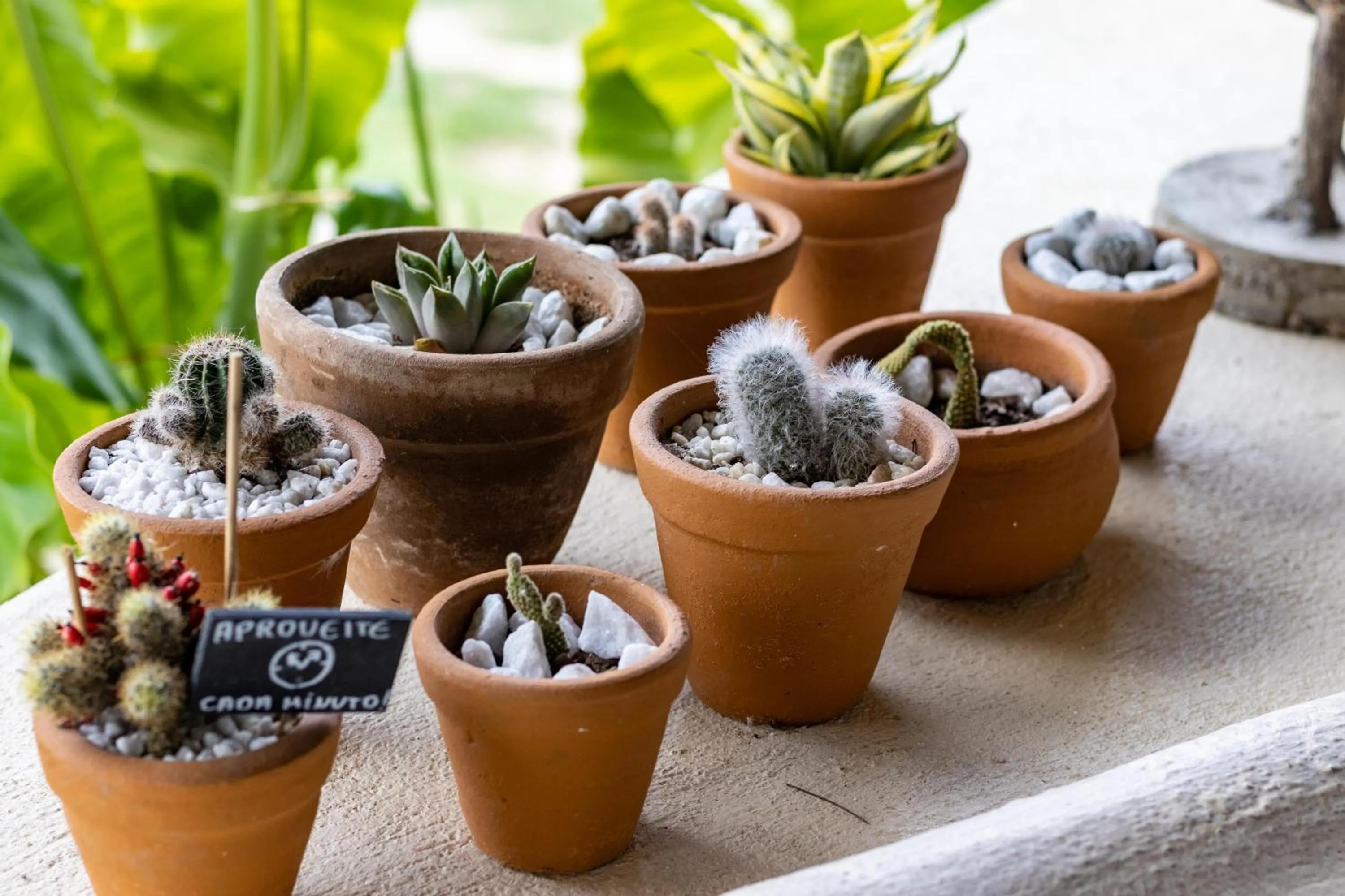 Decorative detail in Hotel Villaggio Tudo Bom