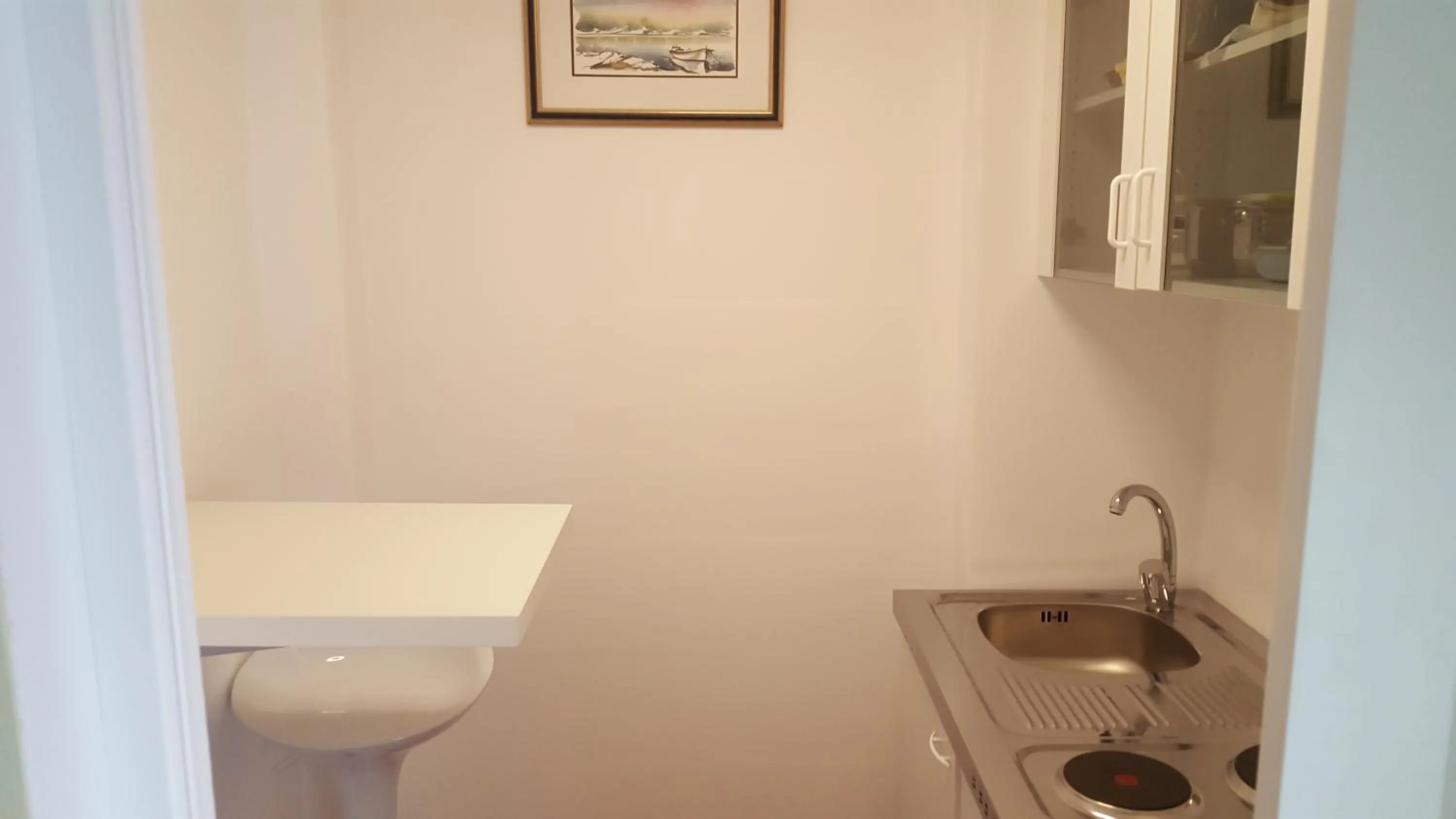 Kitchen or kitchenette in Villa Stegic