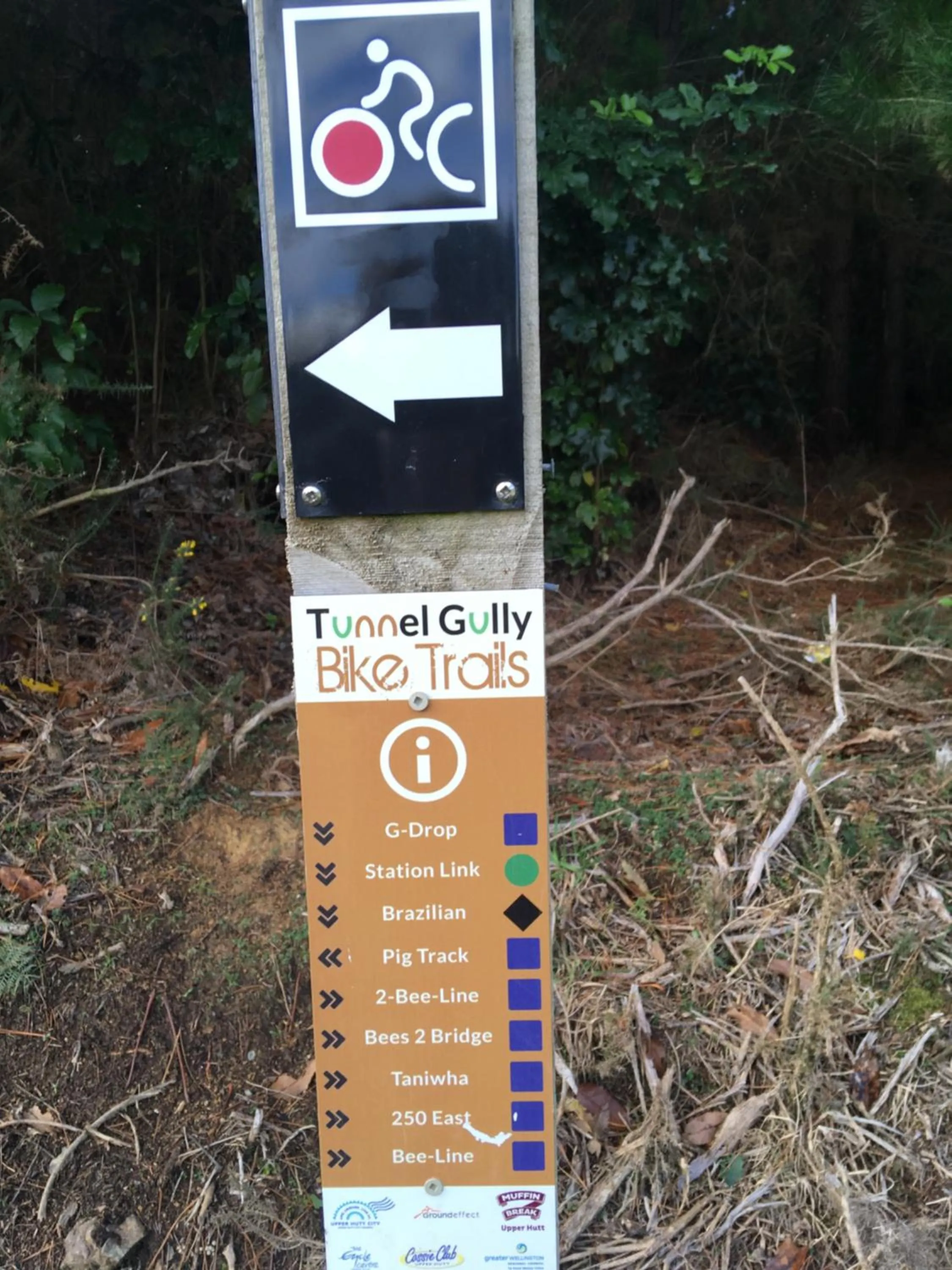 Cycling in Incline Cottage