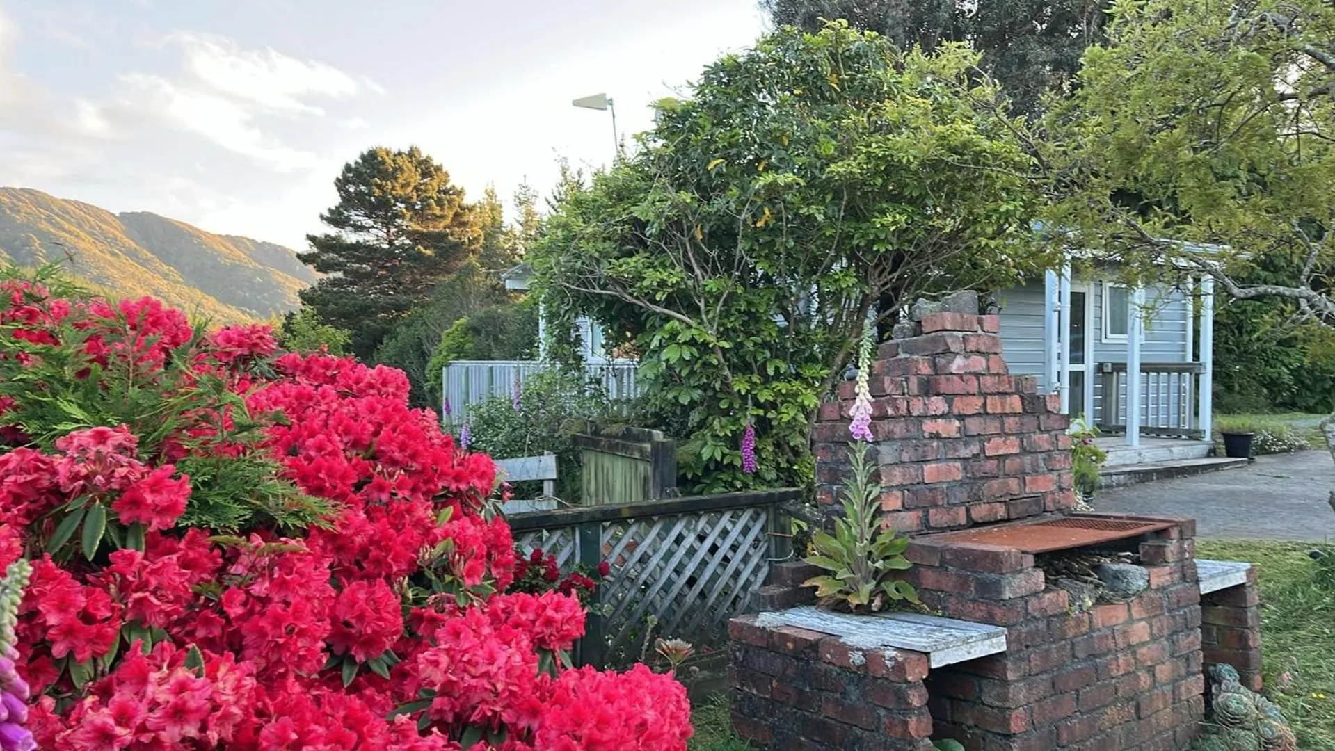 Garden in Incline Cottage
