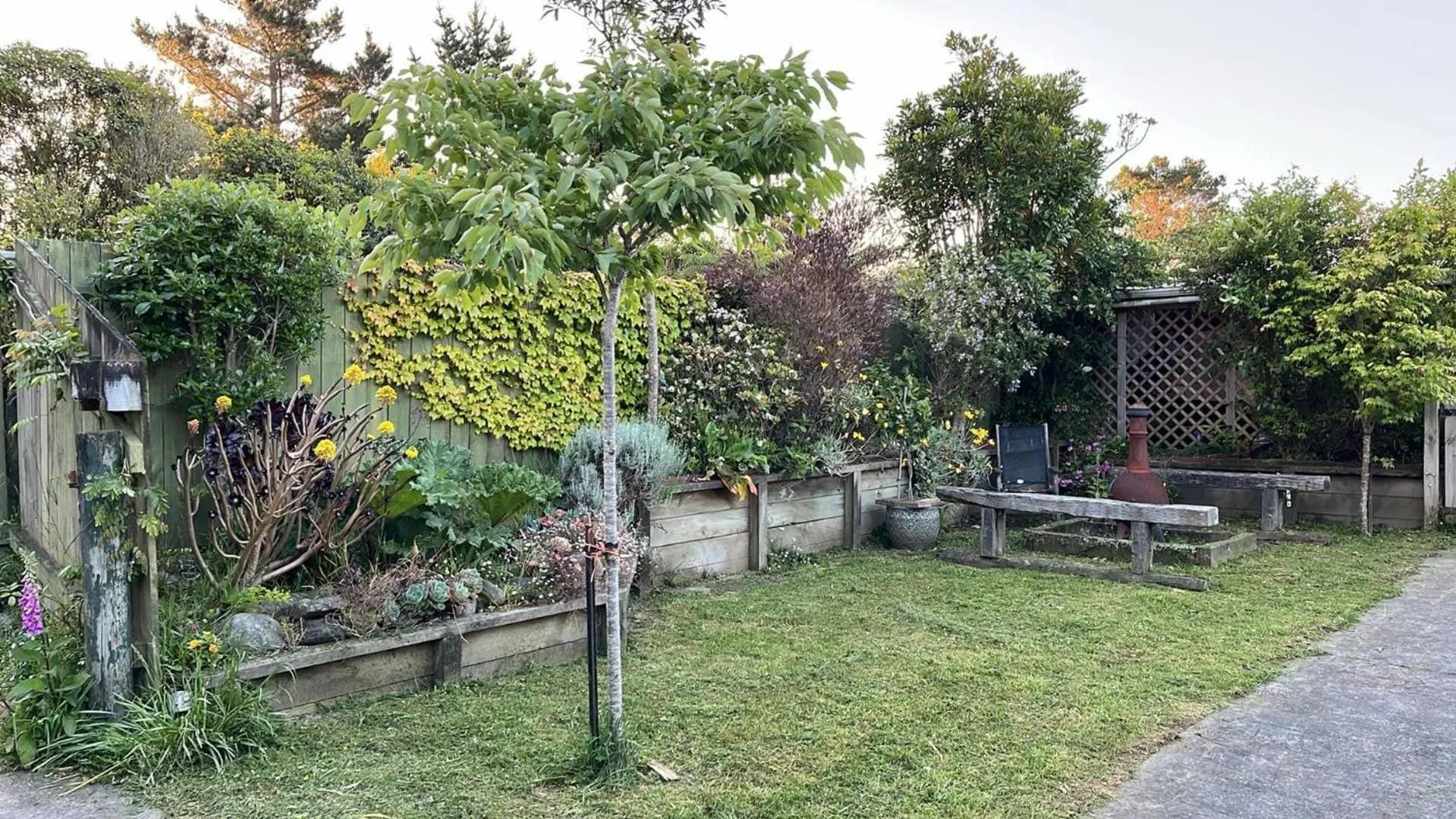 Garden view in Incline Cottage