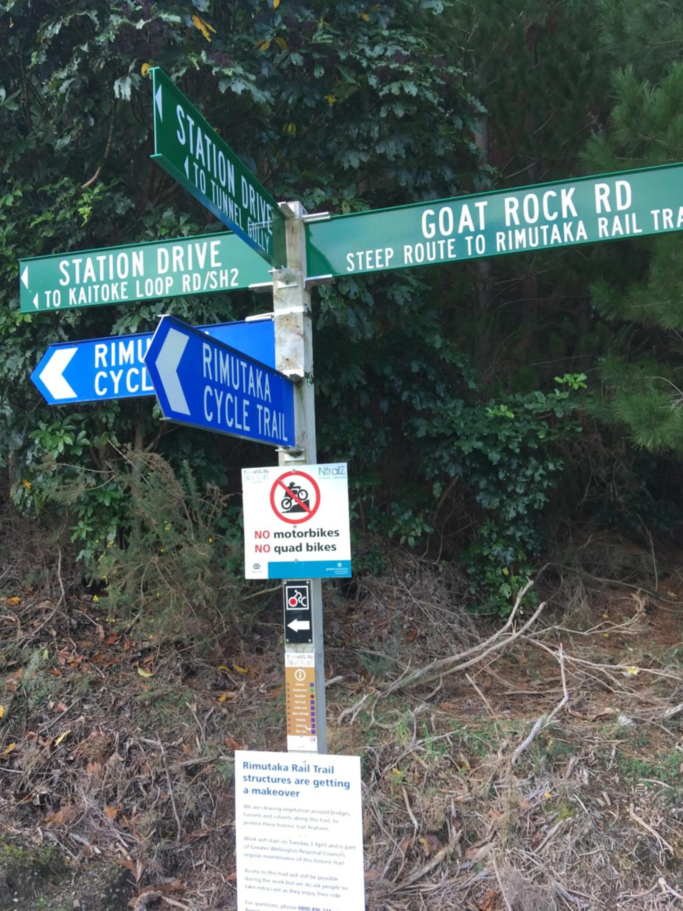 Horse-riding in Incline Cottage