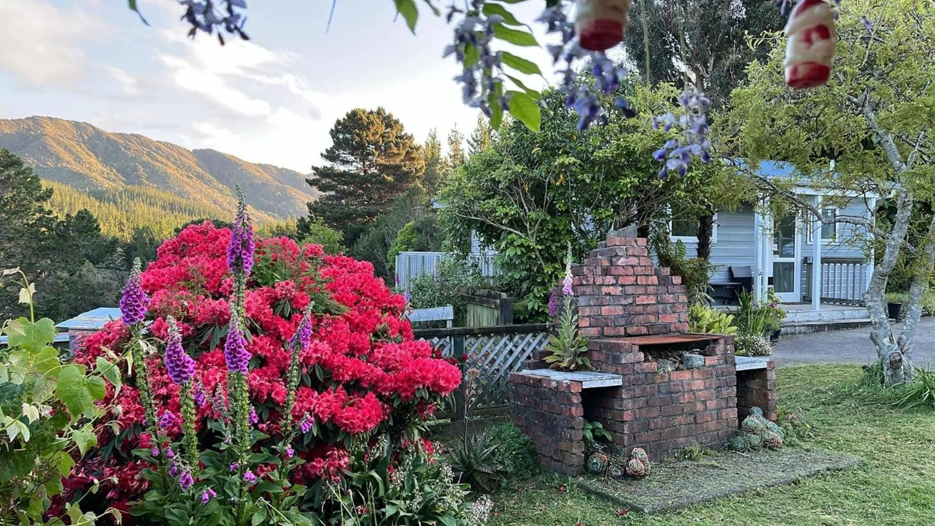 Garden view in Incline Cottage