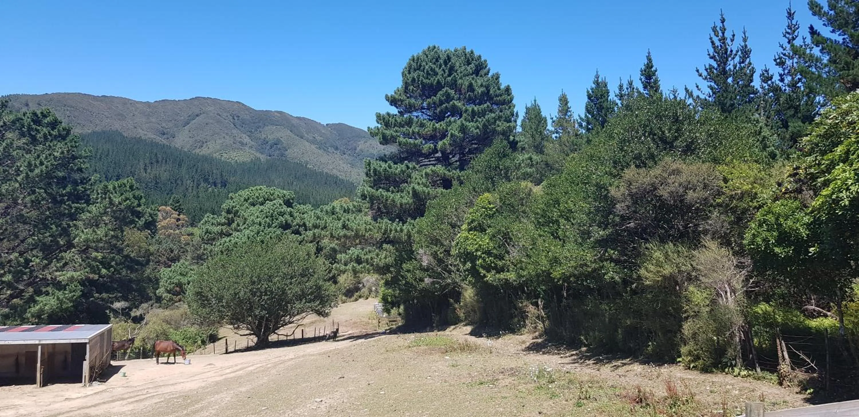 Mountain view in Incline Cottage