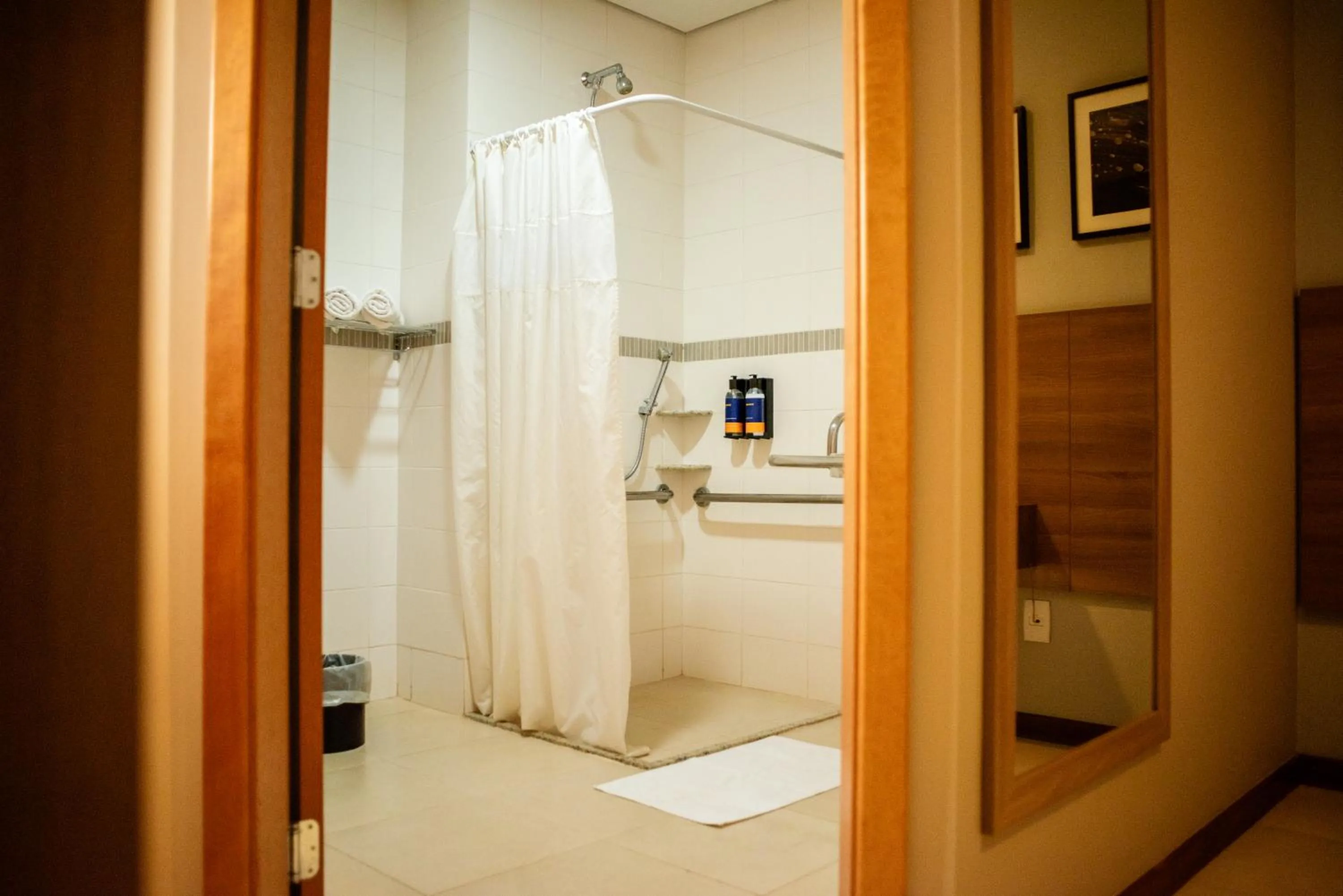 Shower in Comfort Hotel Sertãozinho