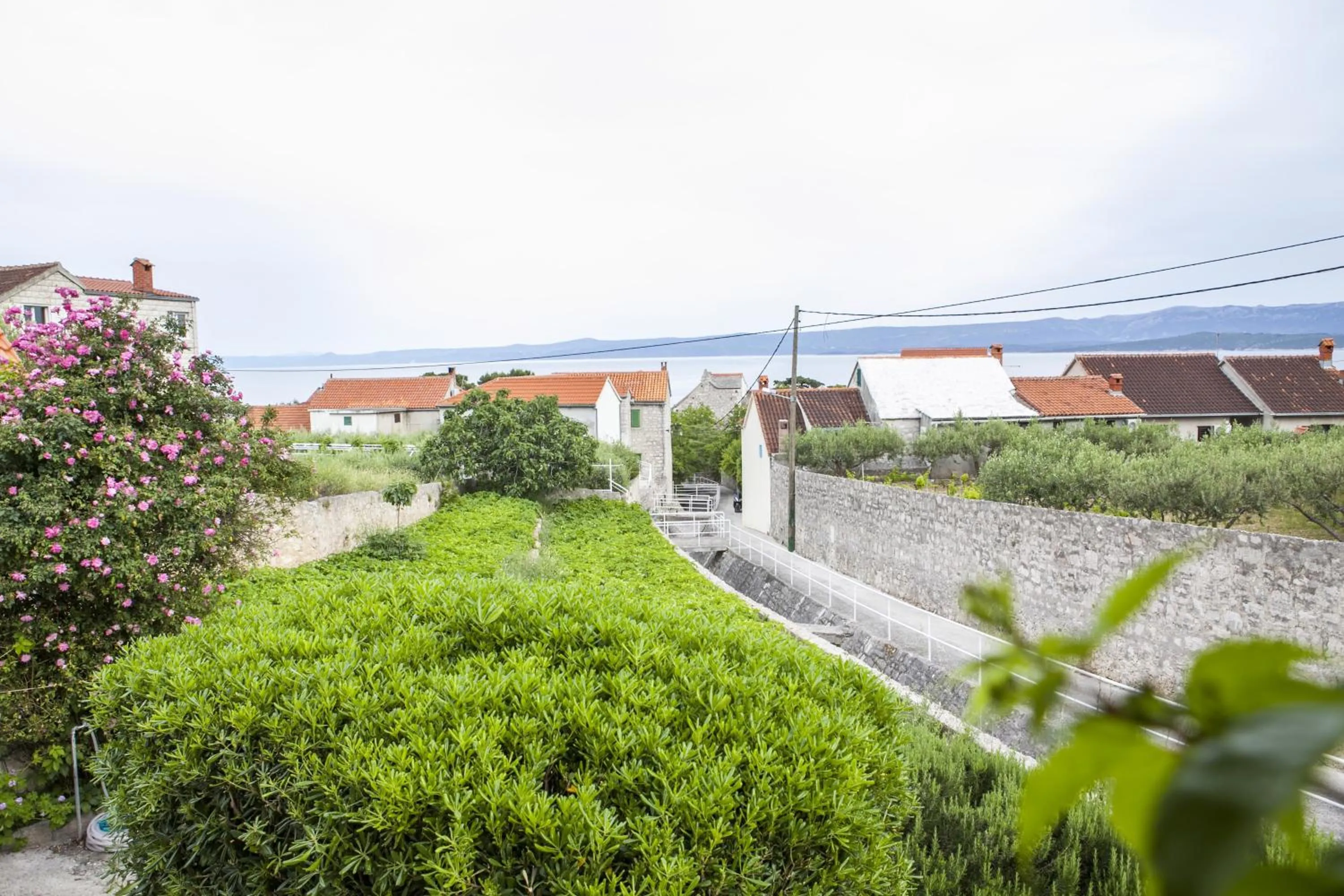 Property building in Apartments Magdalena