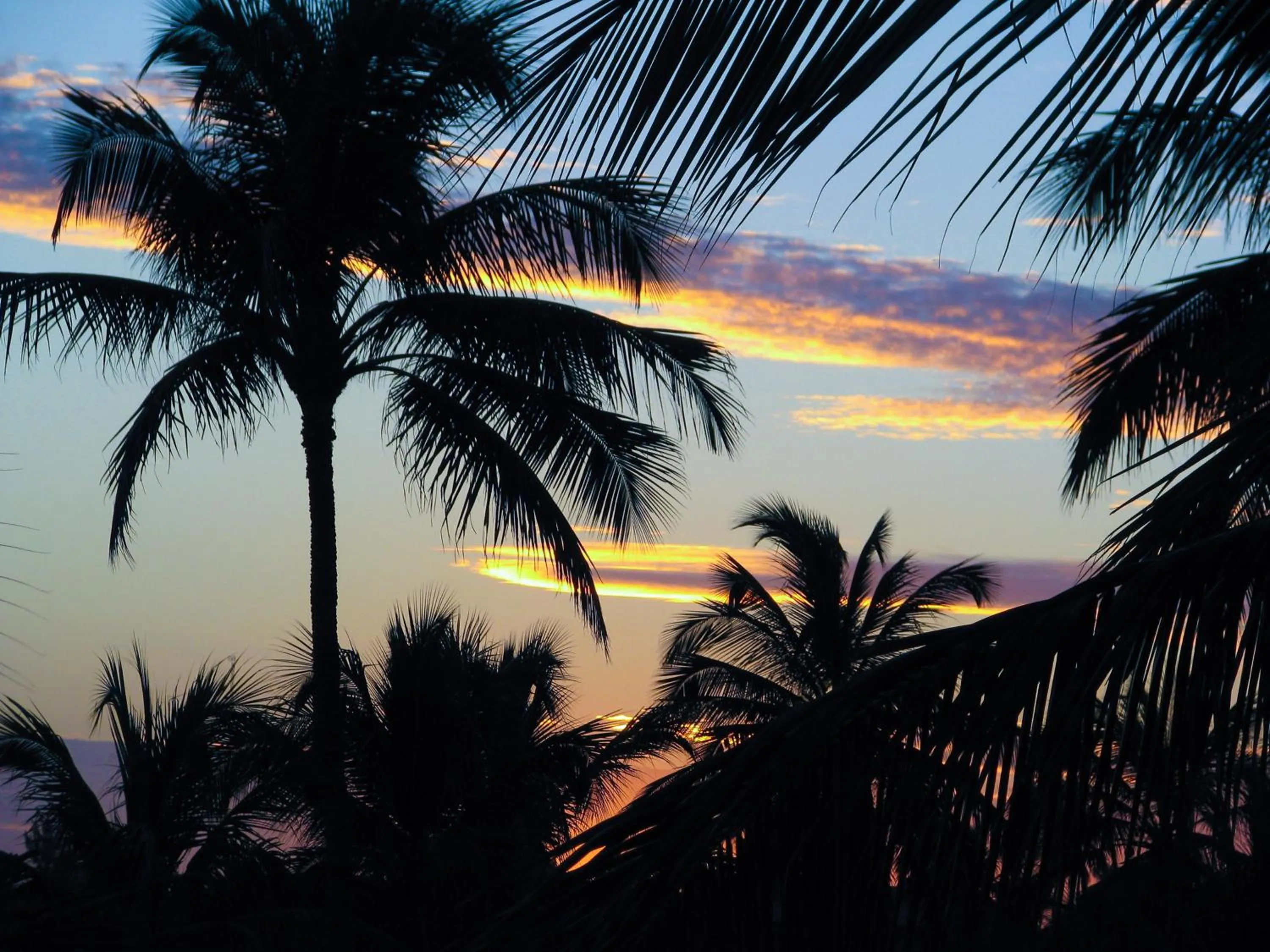 Natural landscape in Hotel e Pousada Cumbuco Guesthouse