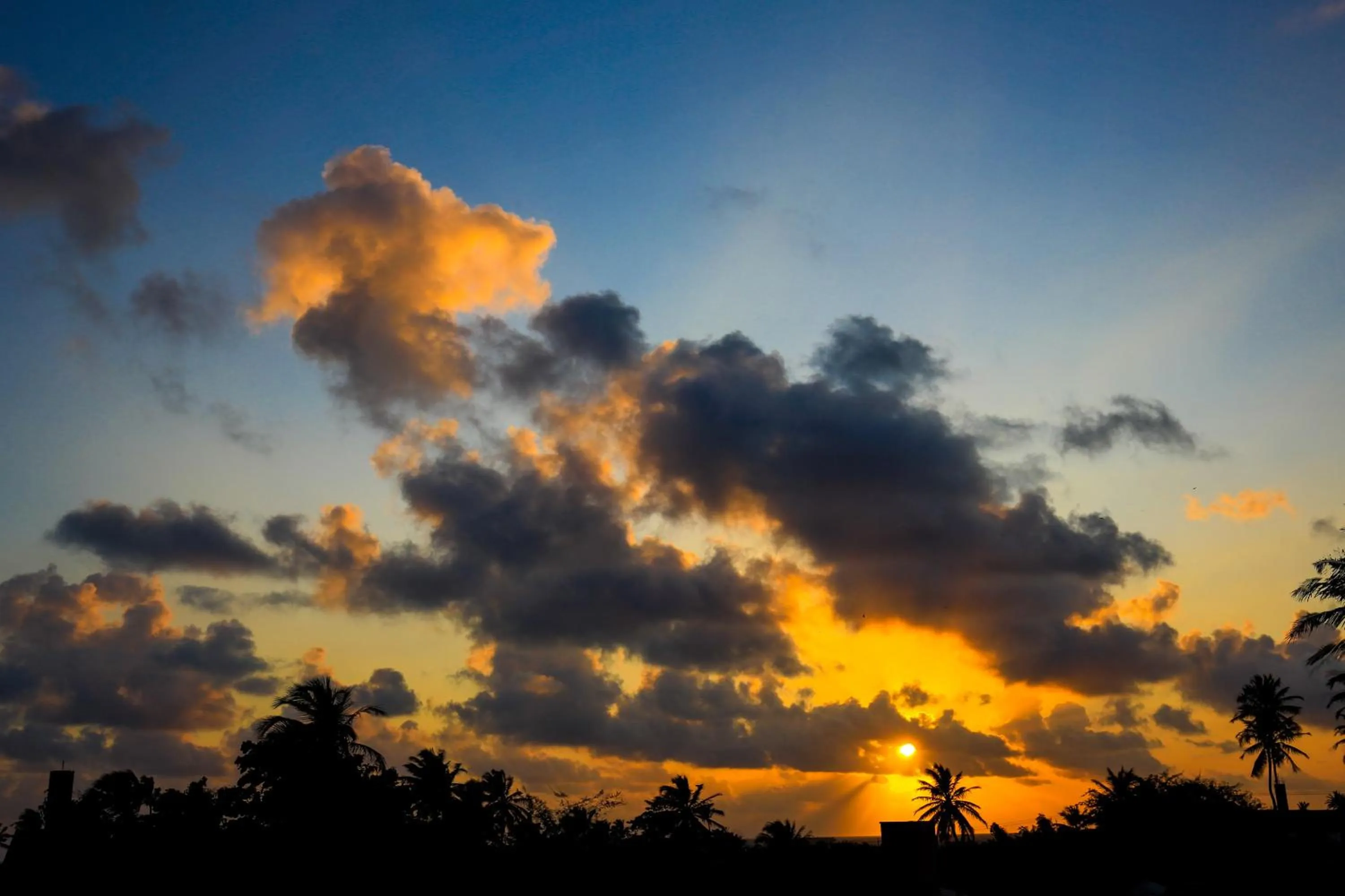 Natural landscape in Hotel e Pousada Cumbuco Guesthouse