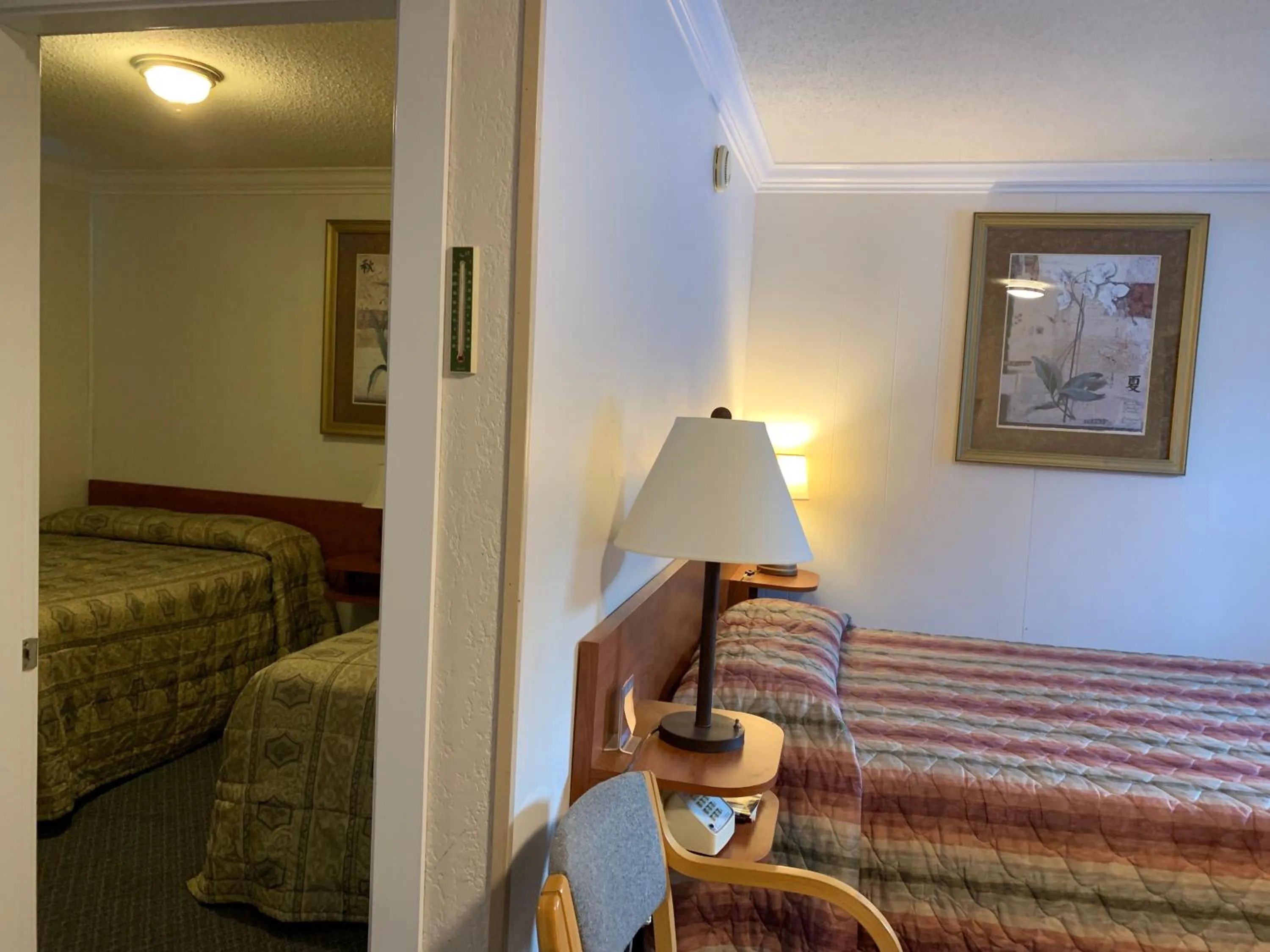 Bed in Evening Star Motel