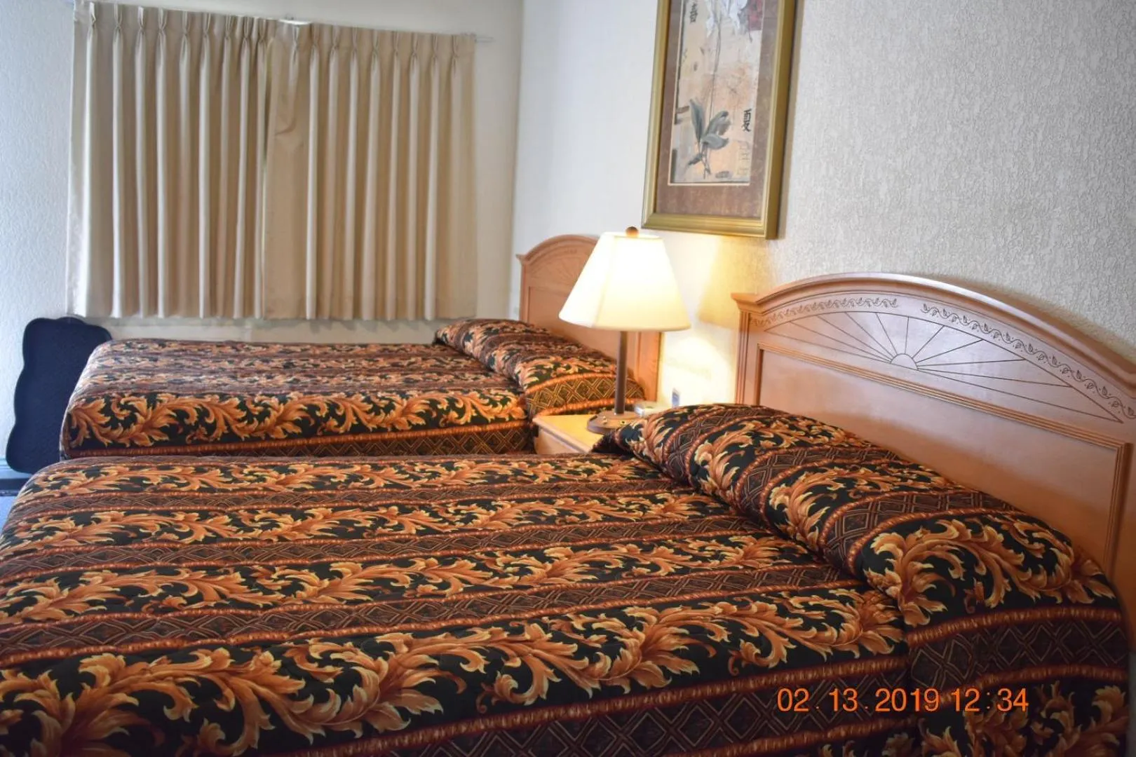 Bed in Evening Star Motel