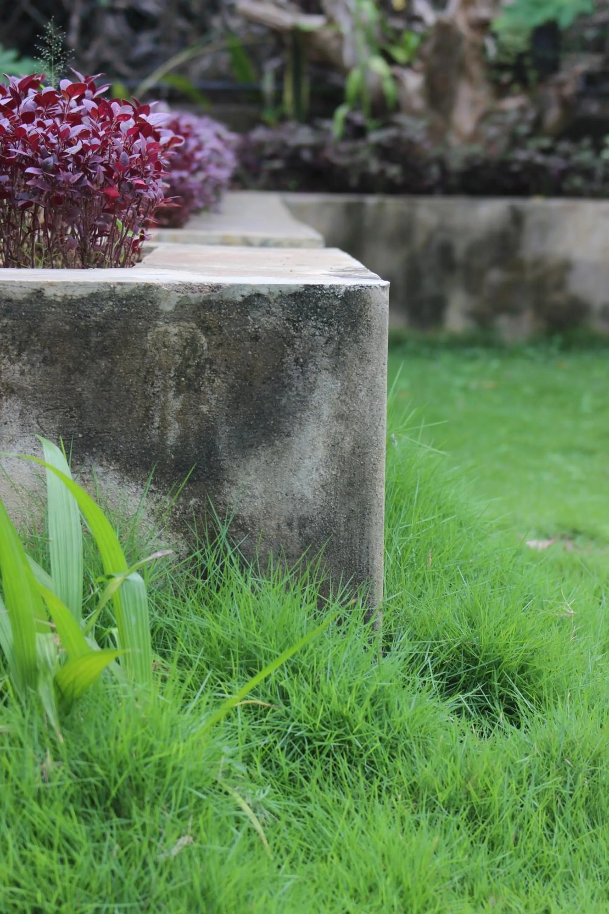 Garden in Cassia Udawalawe