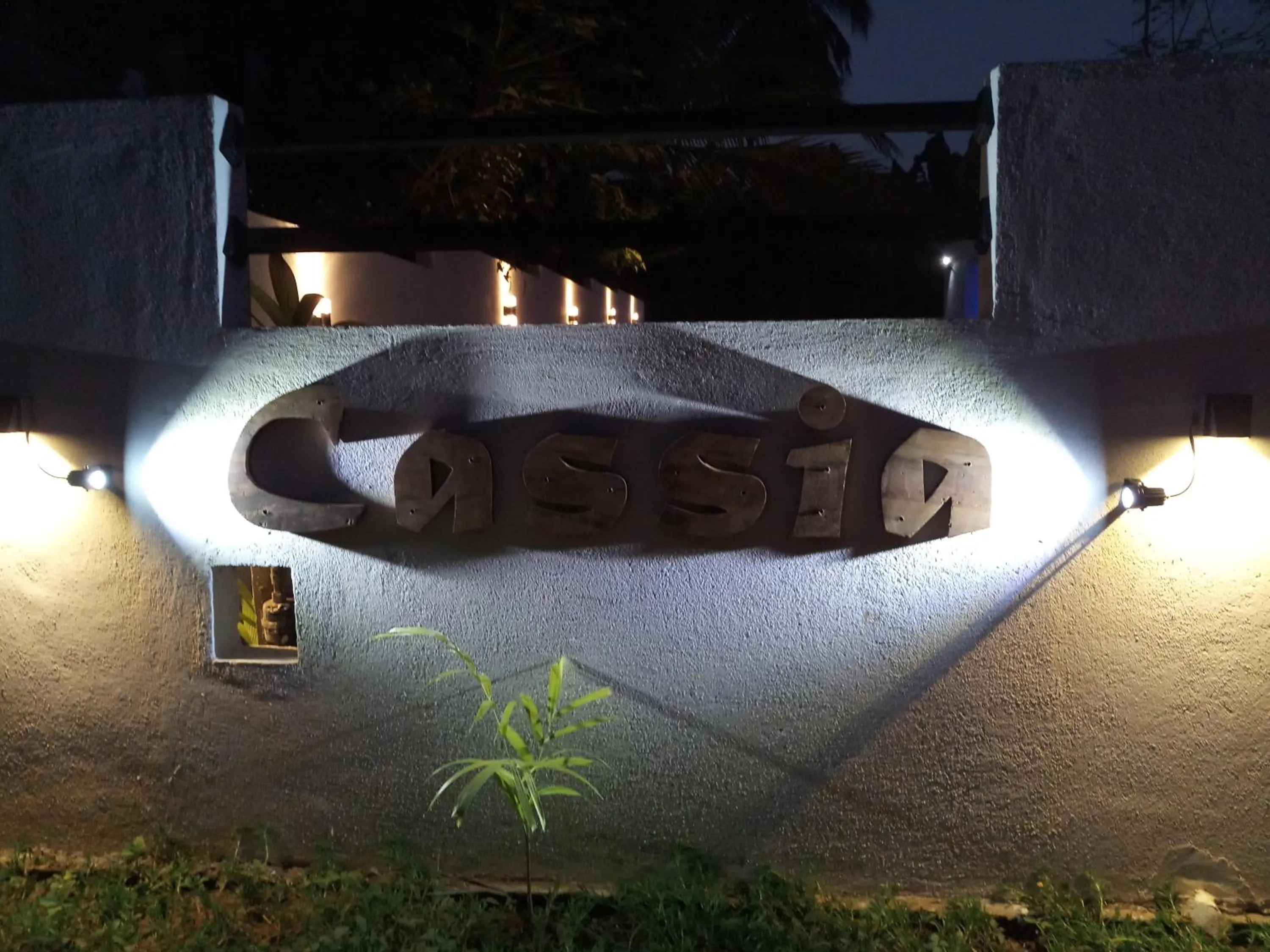 Activities in Cassia Udawalawe