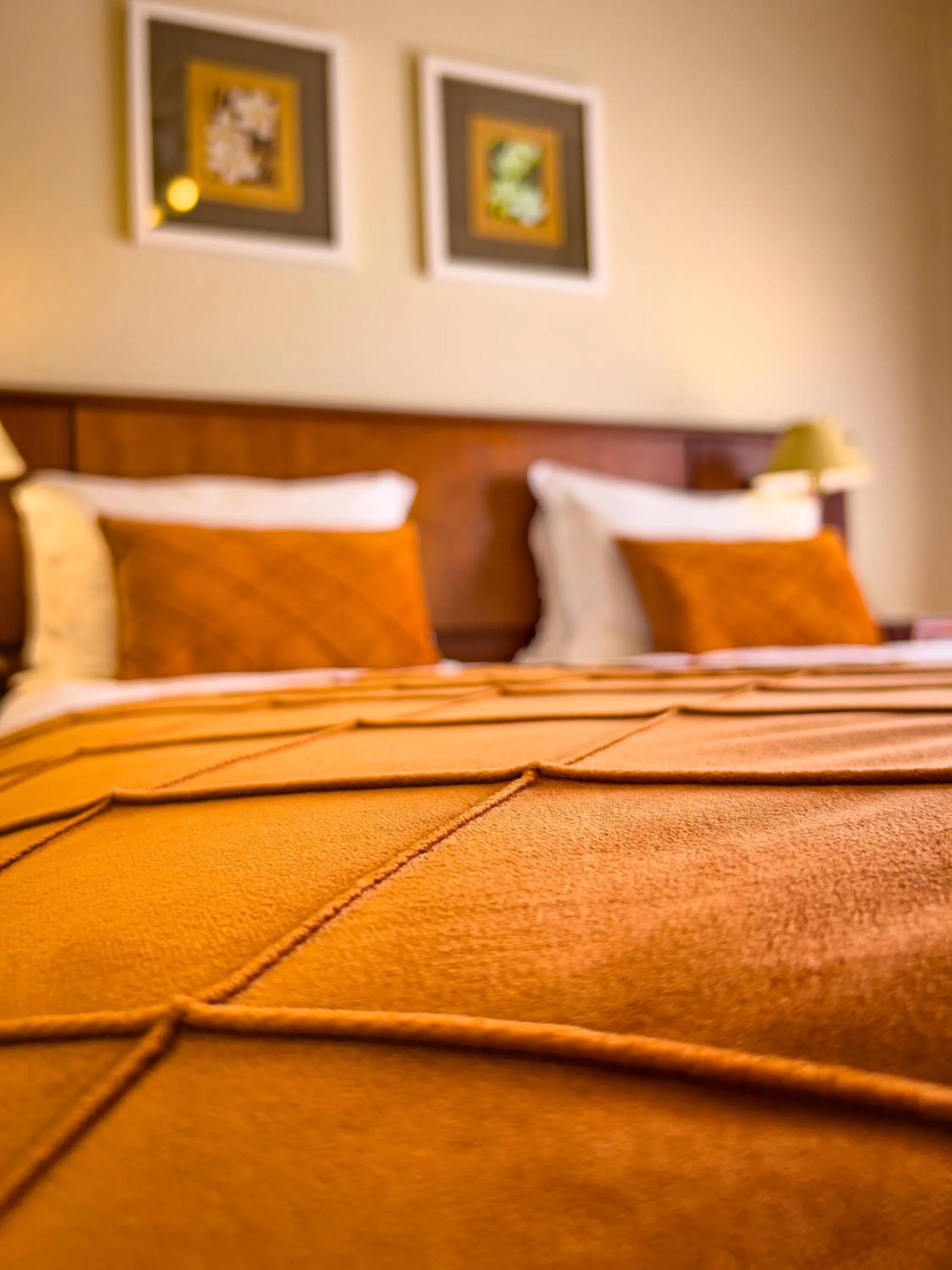 Bed in Hotel Recanto da Serra