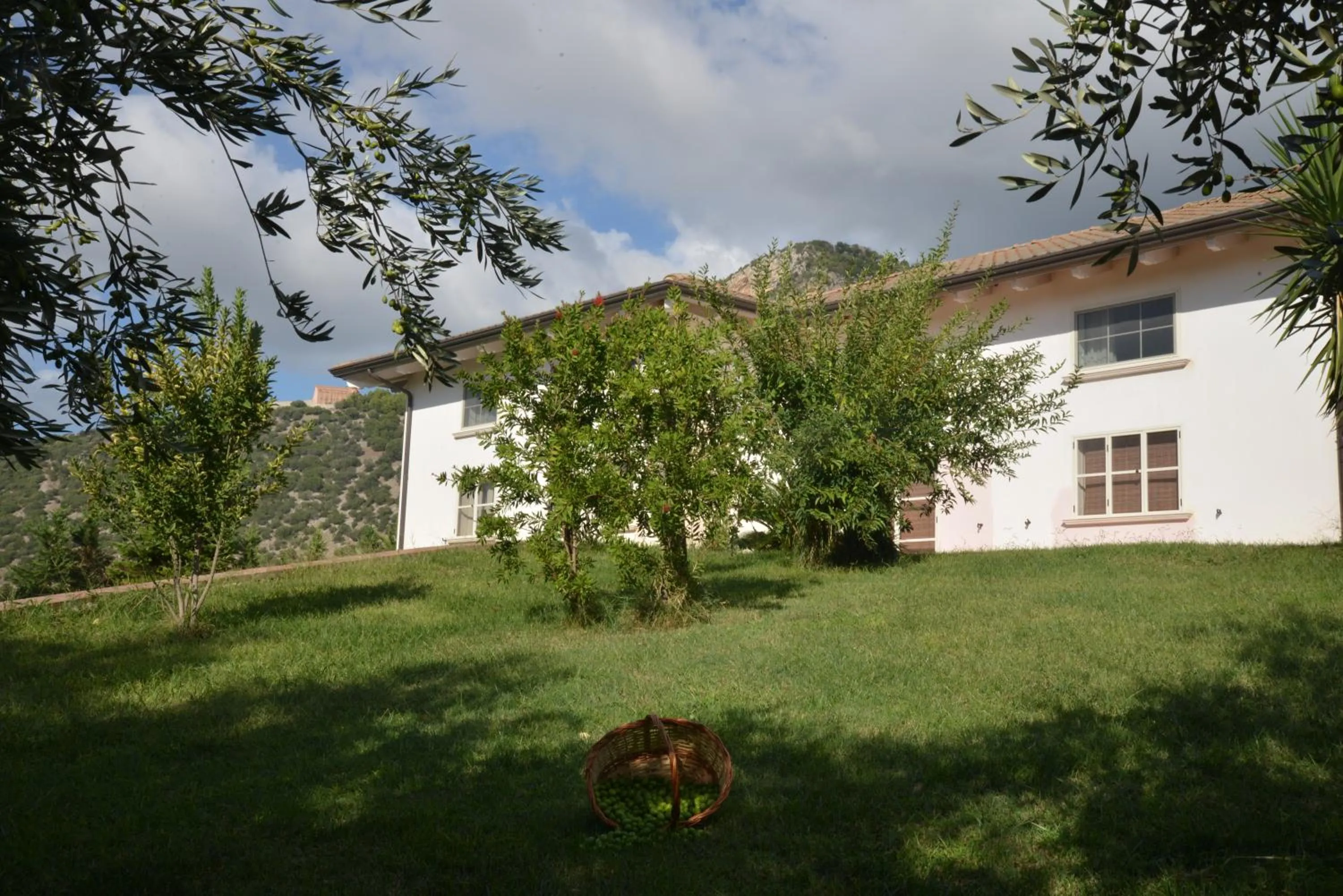 Garden view in B&B Macchia d'Olmo