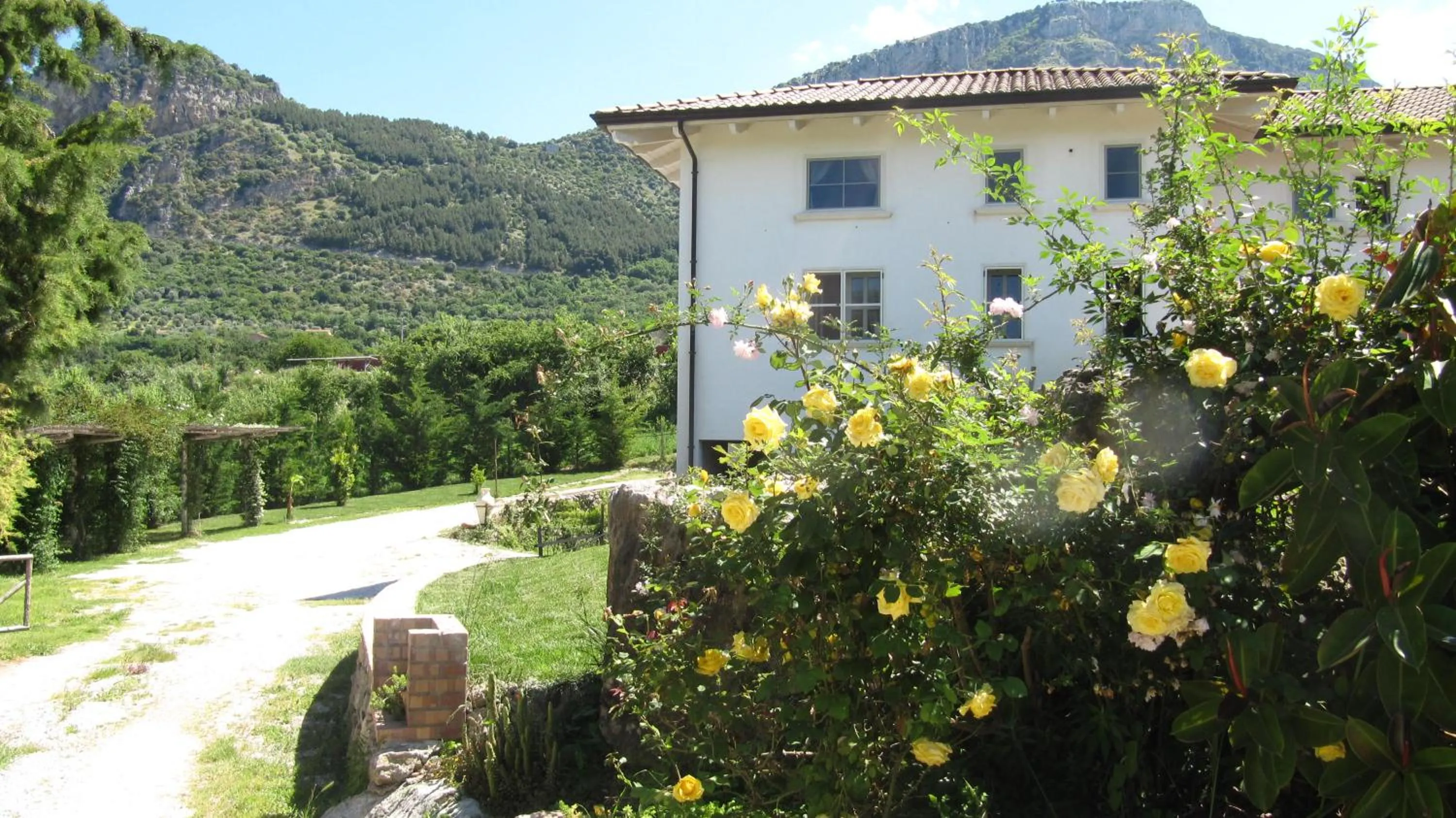 Property building in B&B Macchia d'Olmo