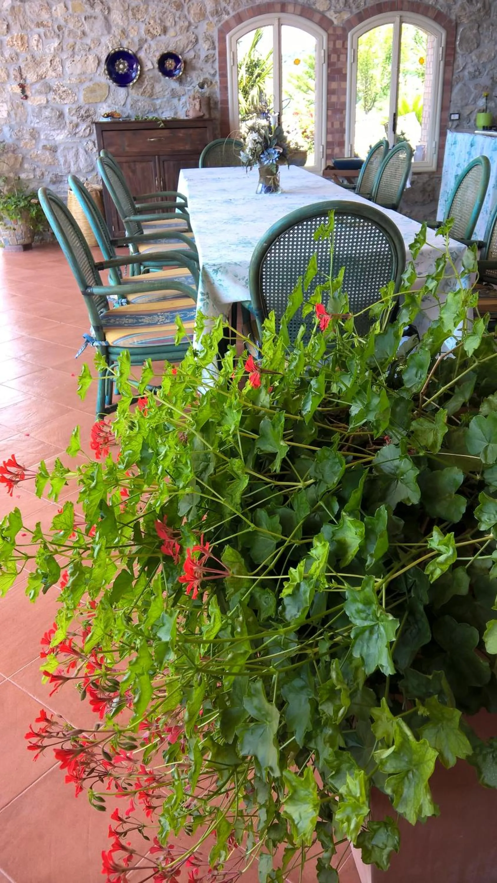 Patio in B&B Macchia d'Olmo