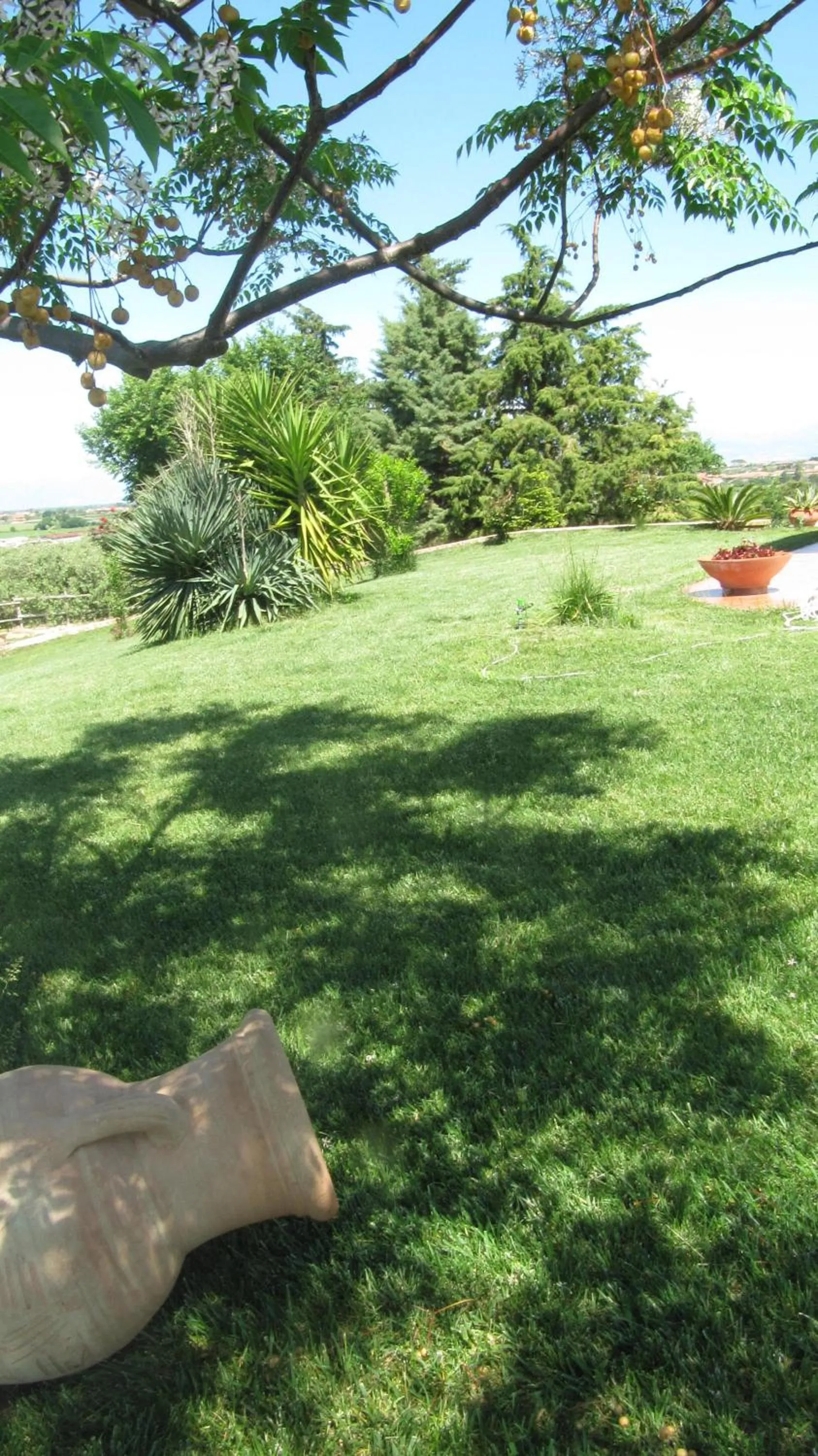 Garden view in B&B Macchia d'Olmo