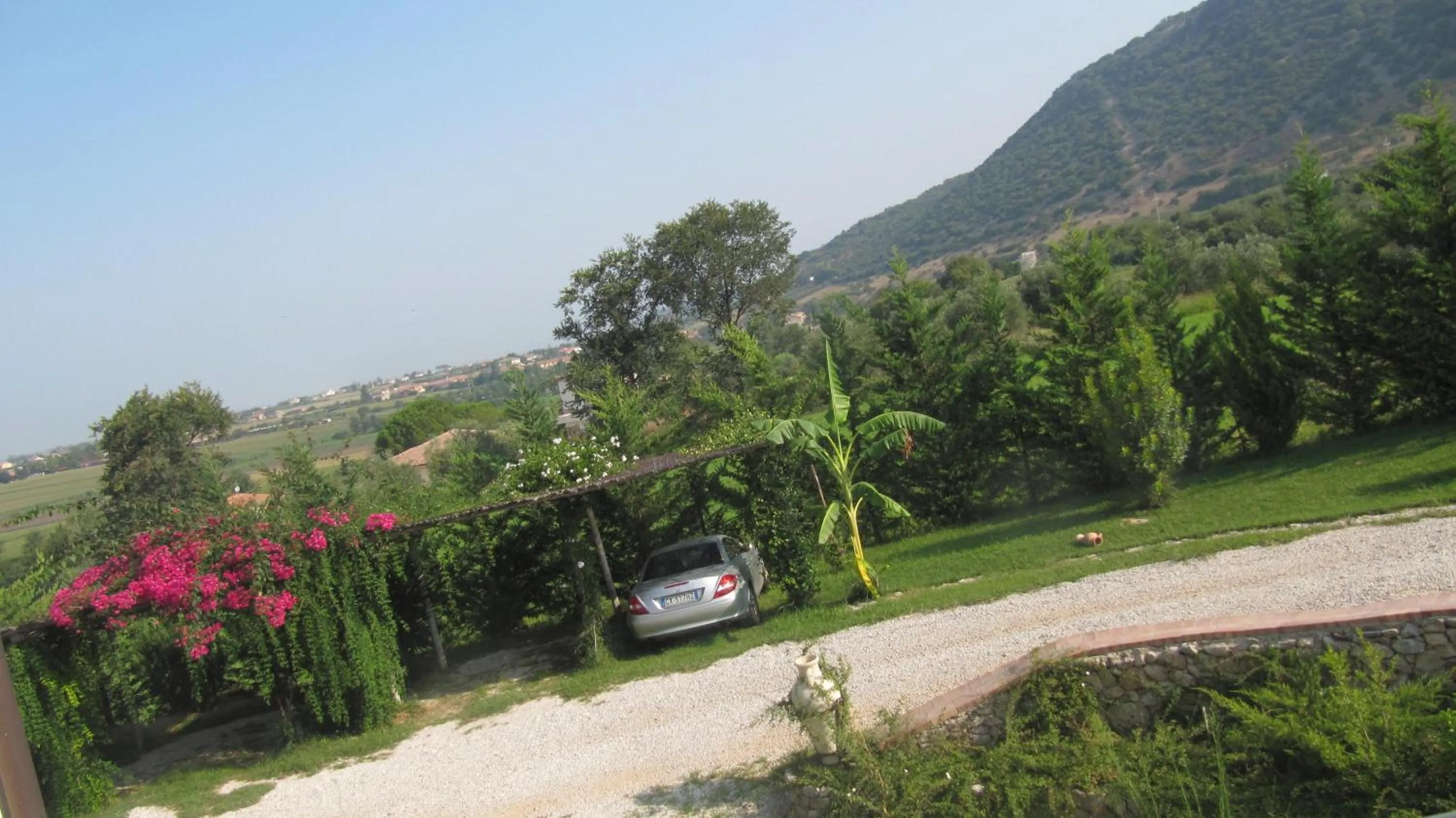 Parking in B&B Macchia d'Olmo