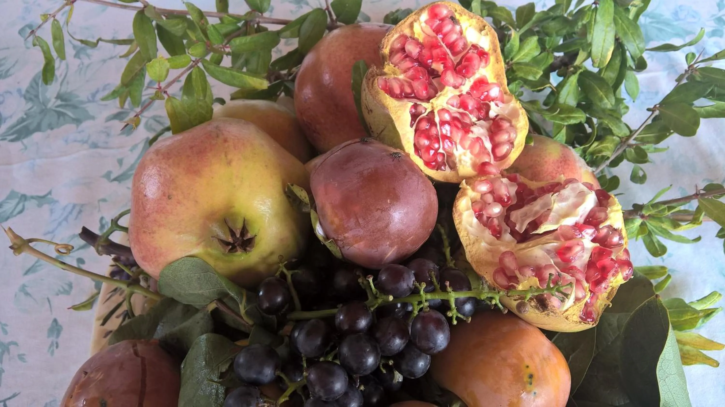 Food in B&B Macchia d'Olmo