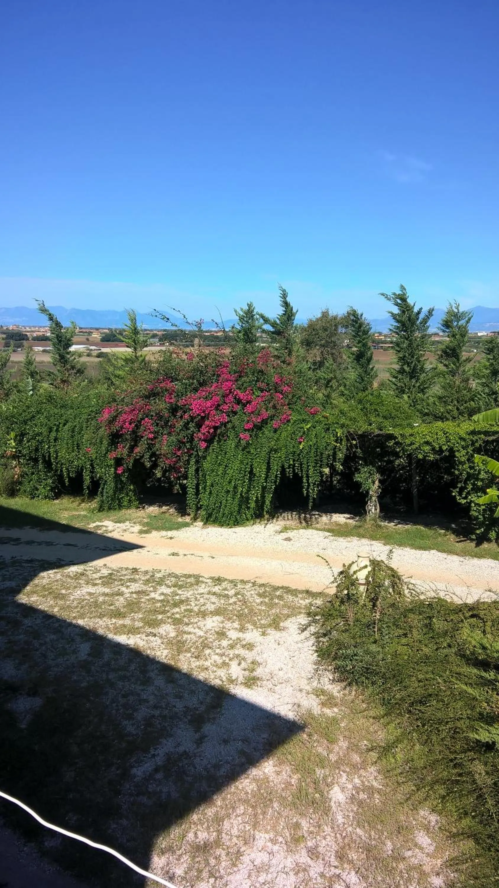 Natural landscape in B&B Macchia d'Olmo
