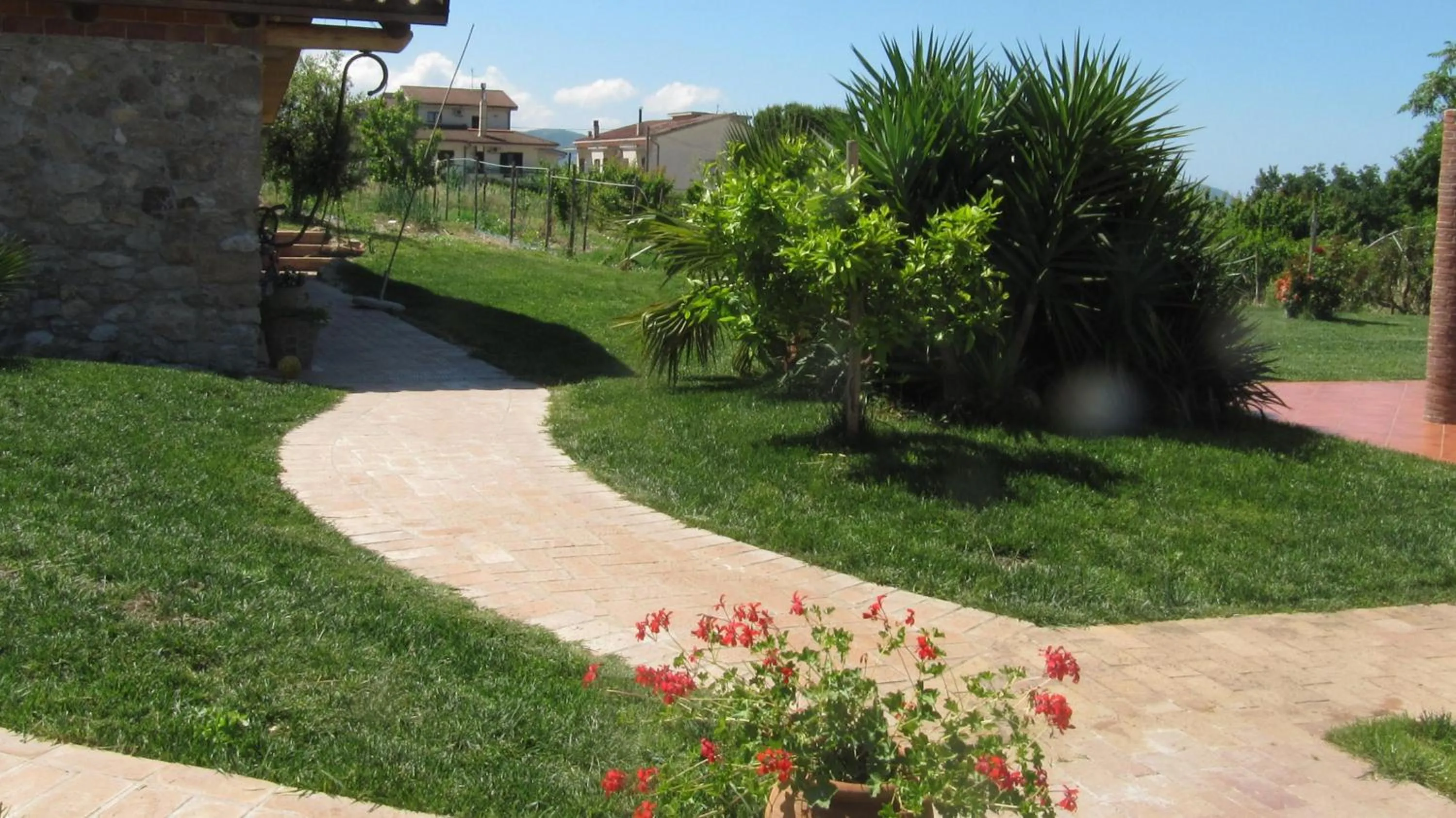 Garden view in B&B Macchia d'Olmo