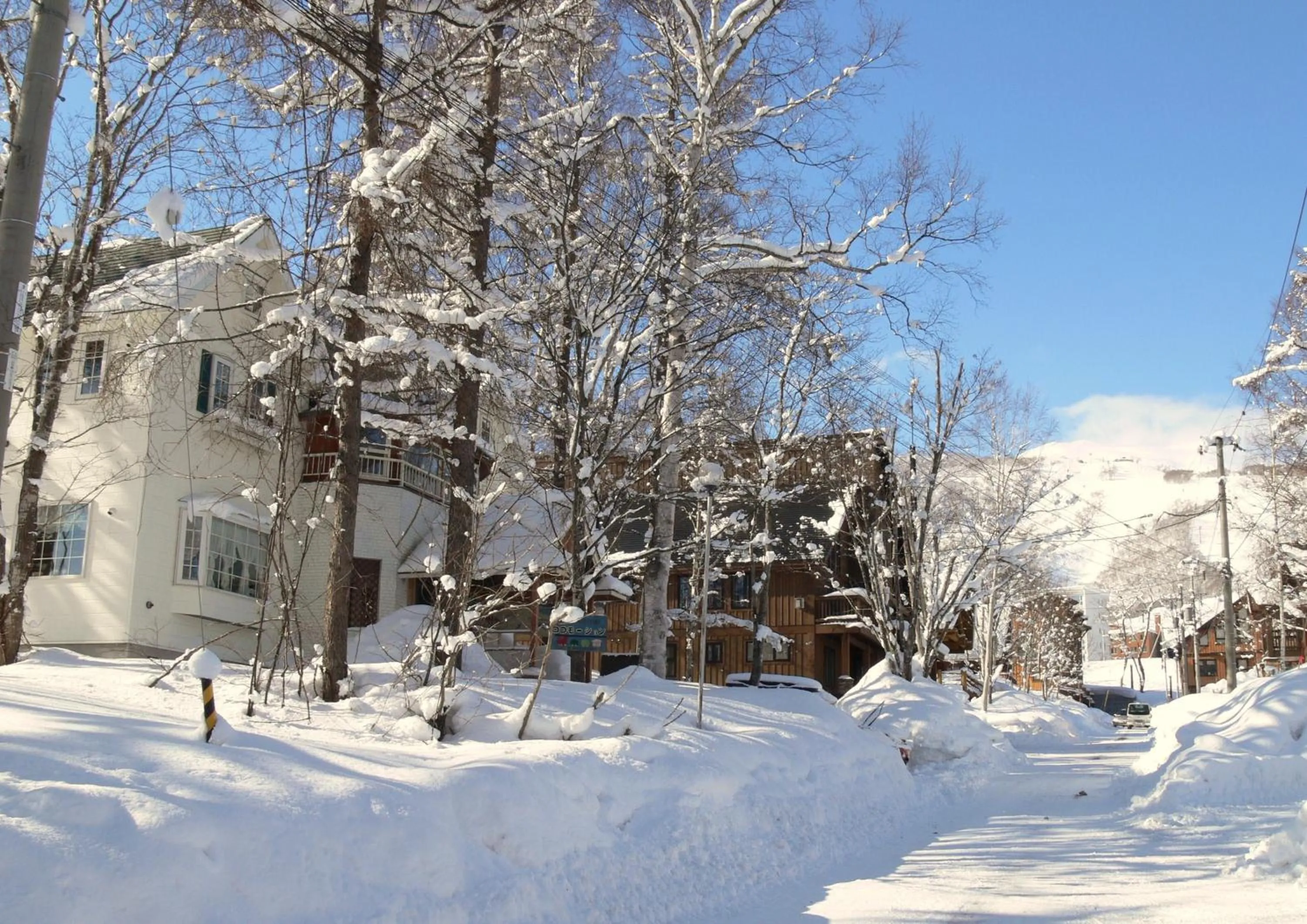 Day in Pension Locomotion