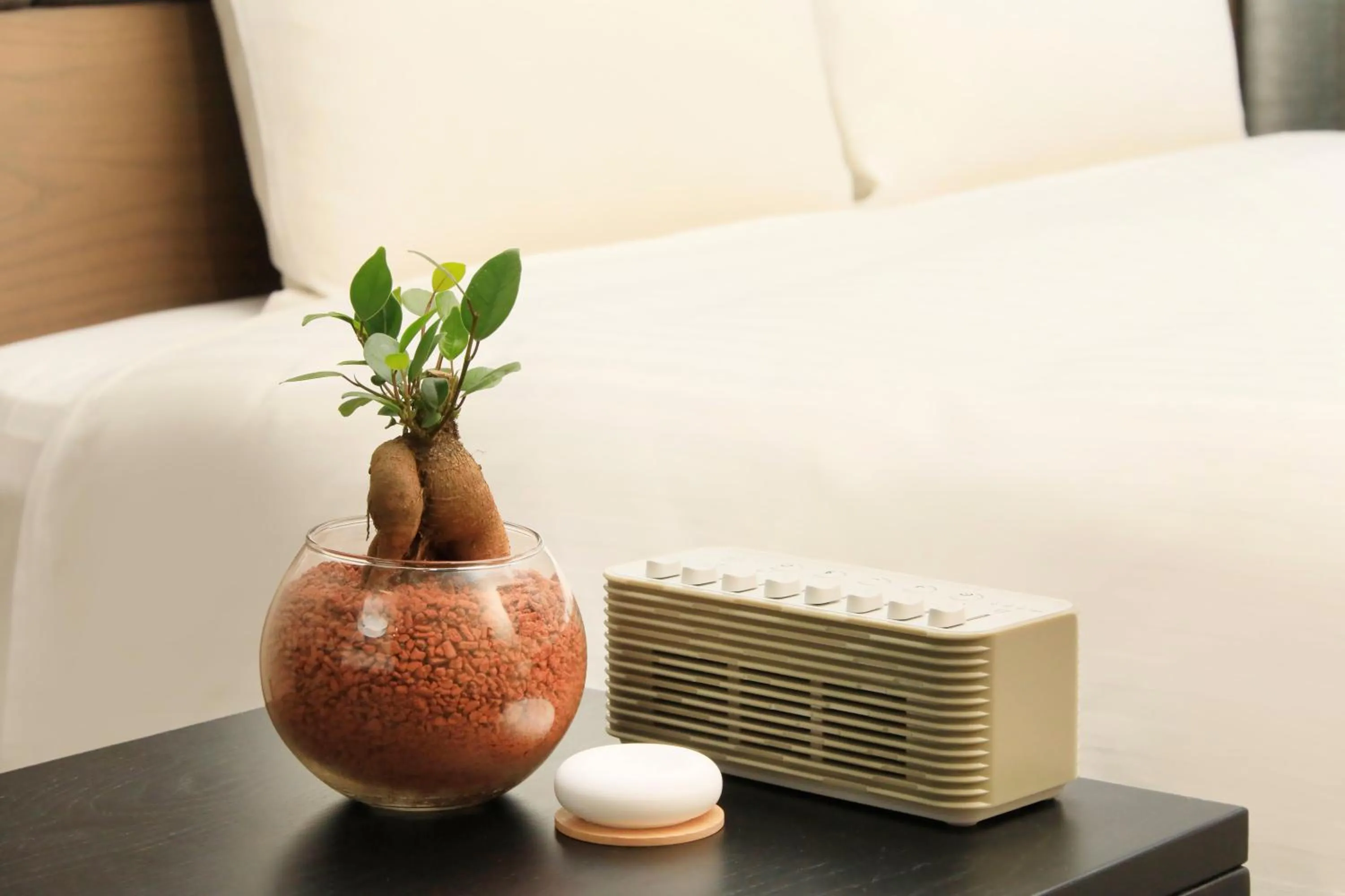 Photo of the whole room, Bed in QuintessaHotel KagoshimaTenmonkan Relax&Sleep