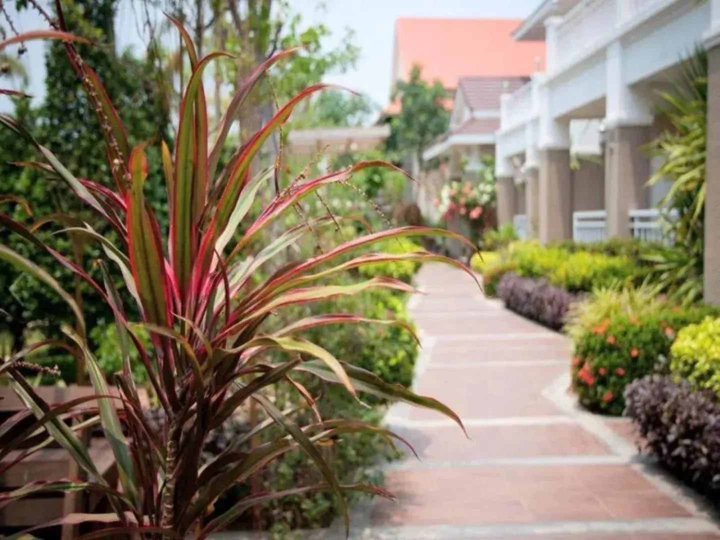 Garden view in Tonwa Resort Hotel Garden view in Tonwa Resort Hotel