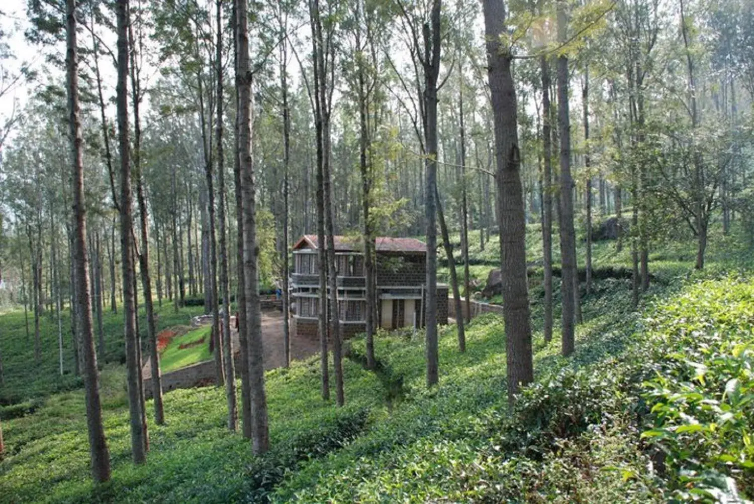 Relaxing 2 B/R Estate House, Deenaty, Tamil Nadu Relaxing 2 B/R Estate House, Deenaty, Tamil Nadu