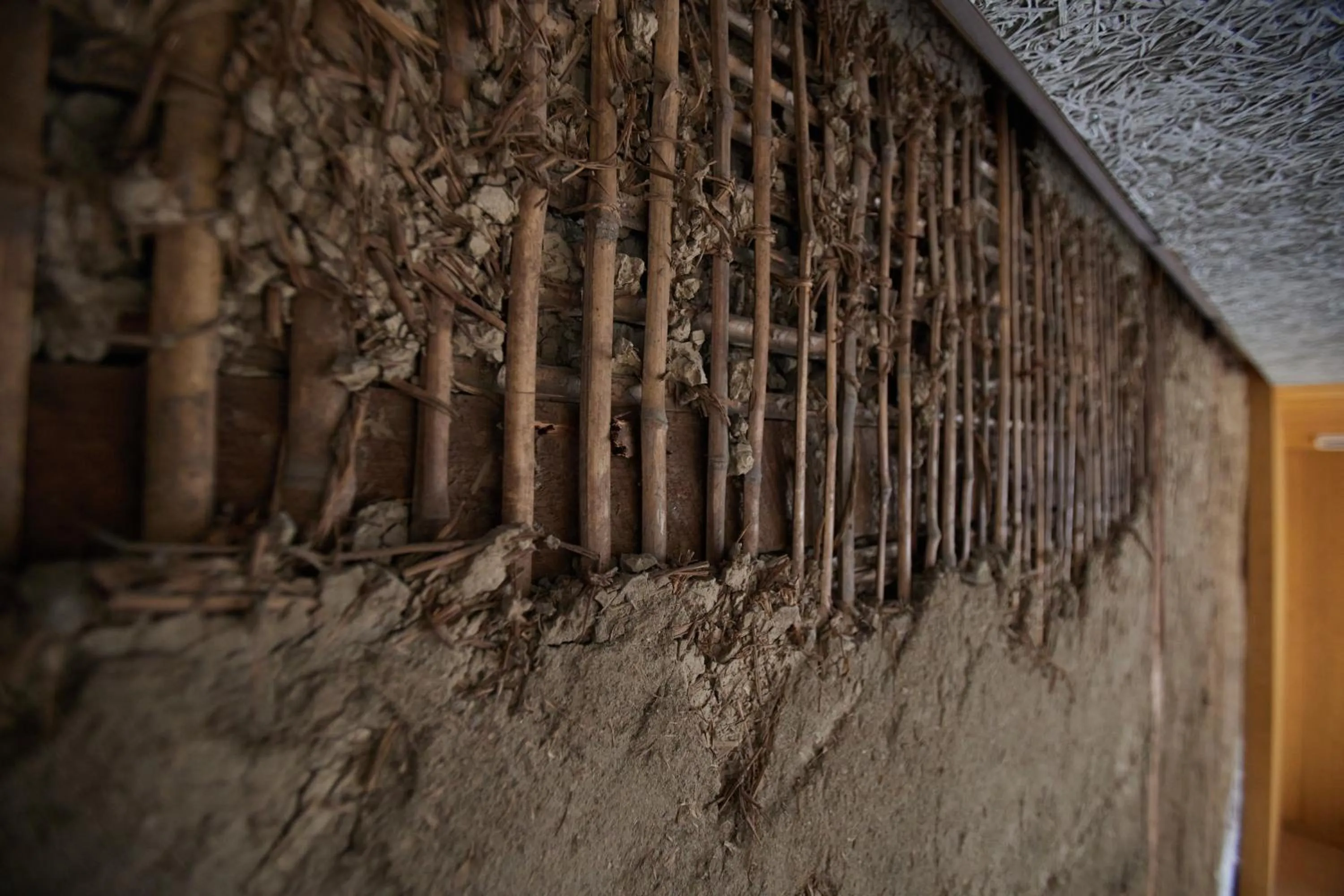 Area and facilities in TSUCHIYA Kinosaki onsen
