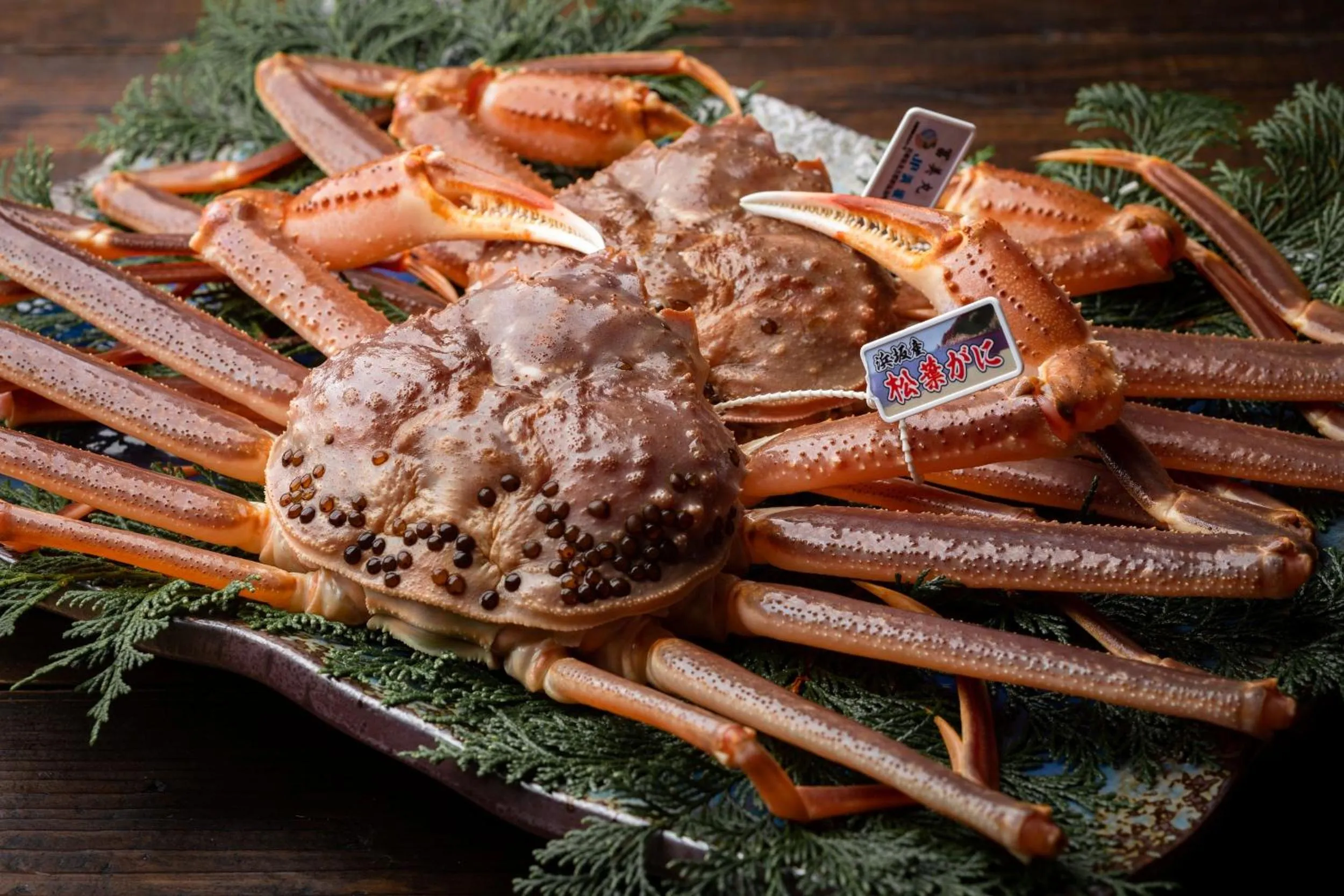 Food in TSUCHIYA Kinosaki onsen