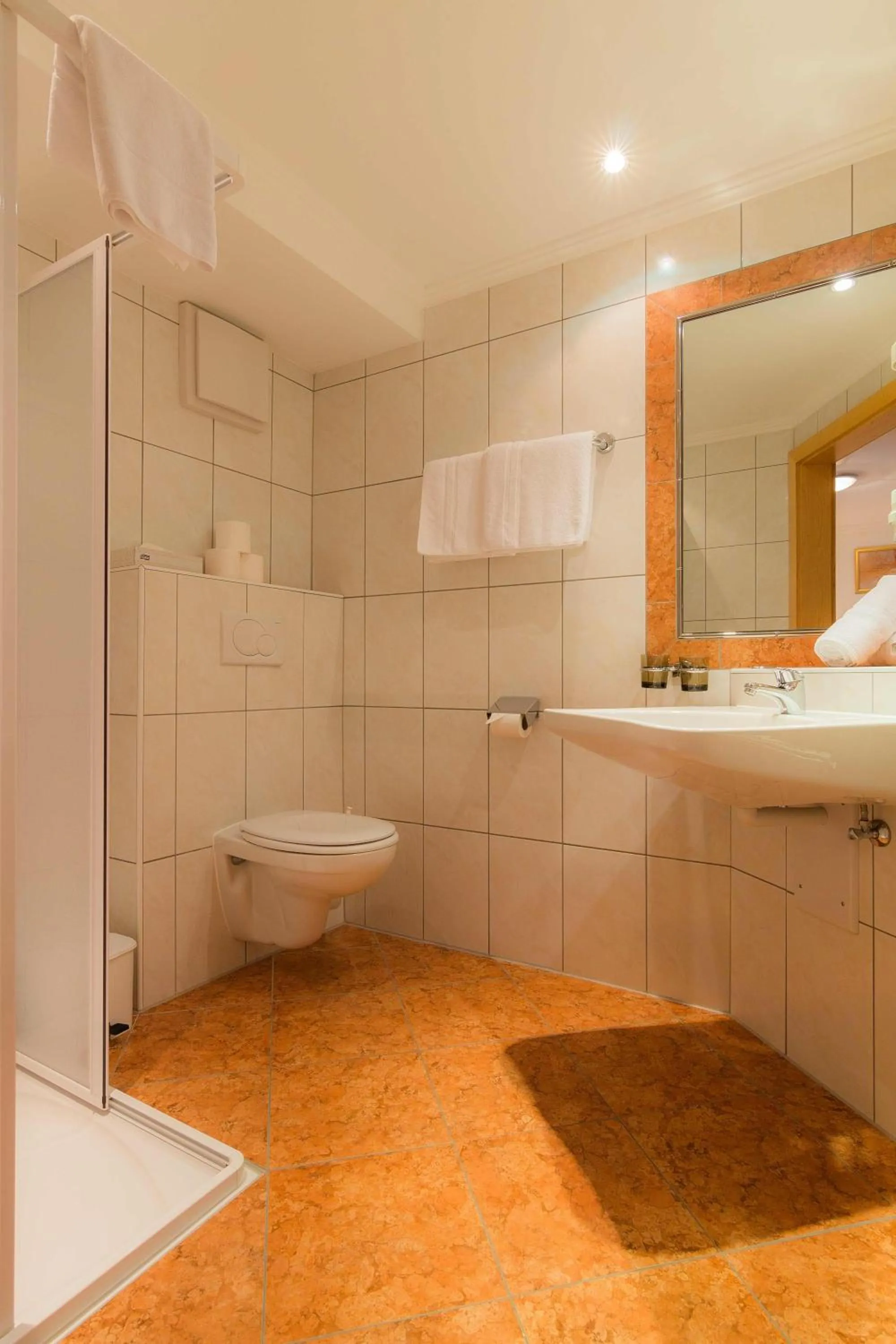 Shower in Hotel Garni Martina