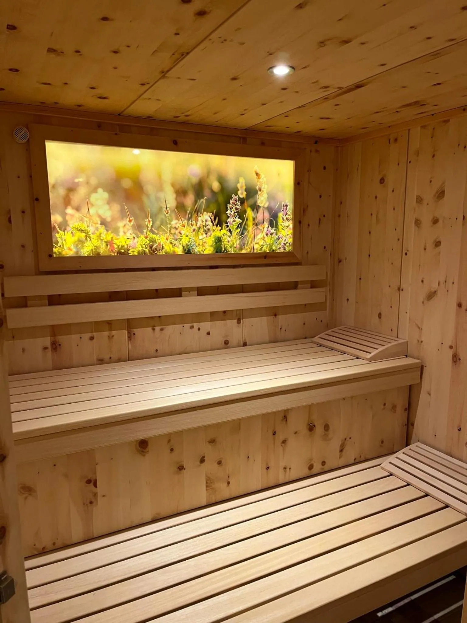 Sauna in Hotel Garni Martina