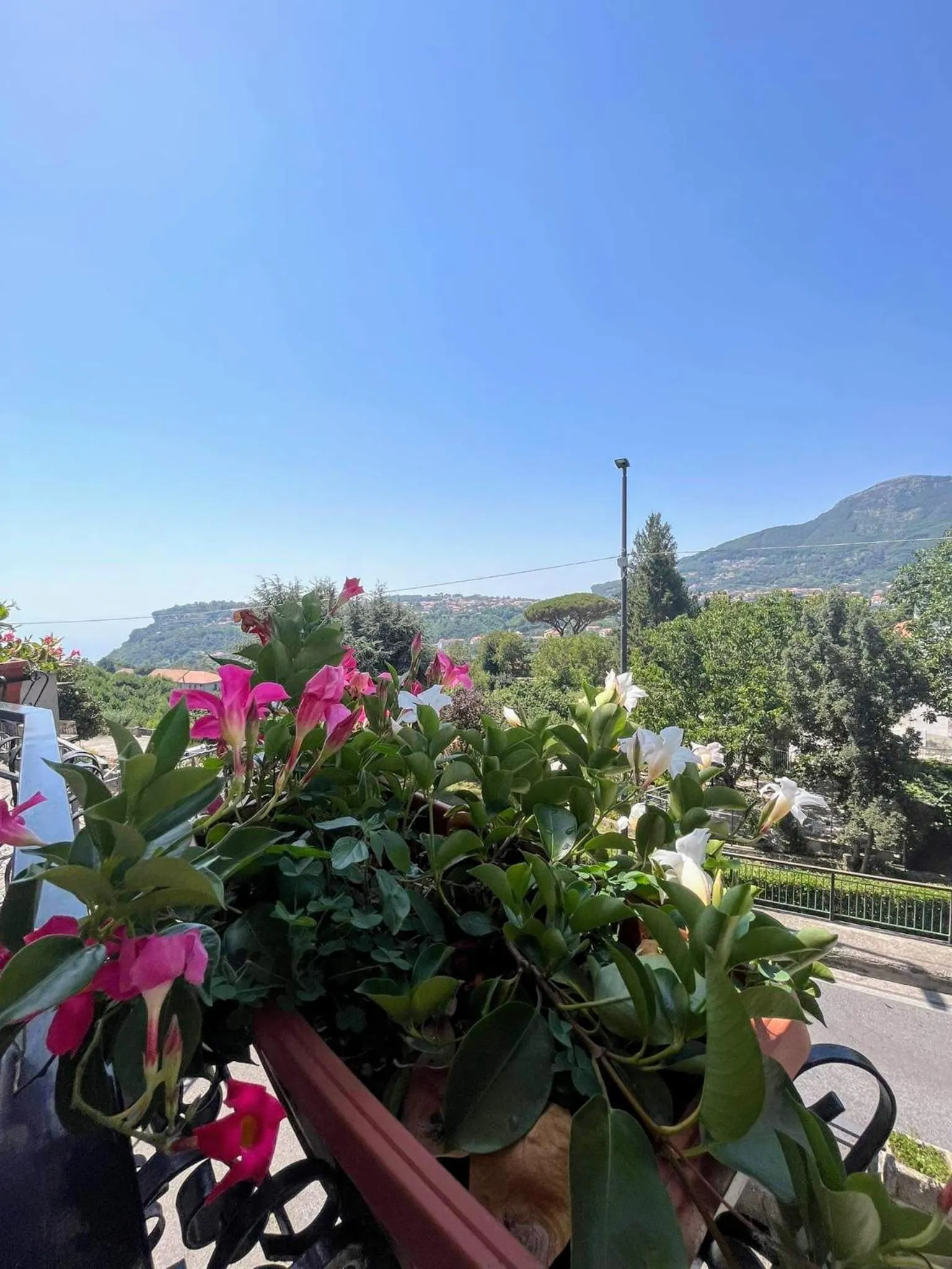 Il Borgo