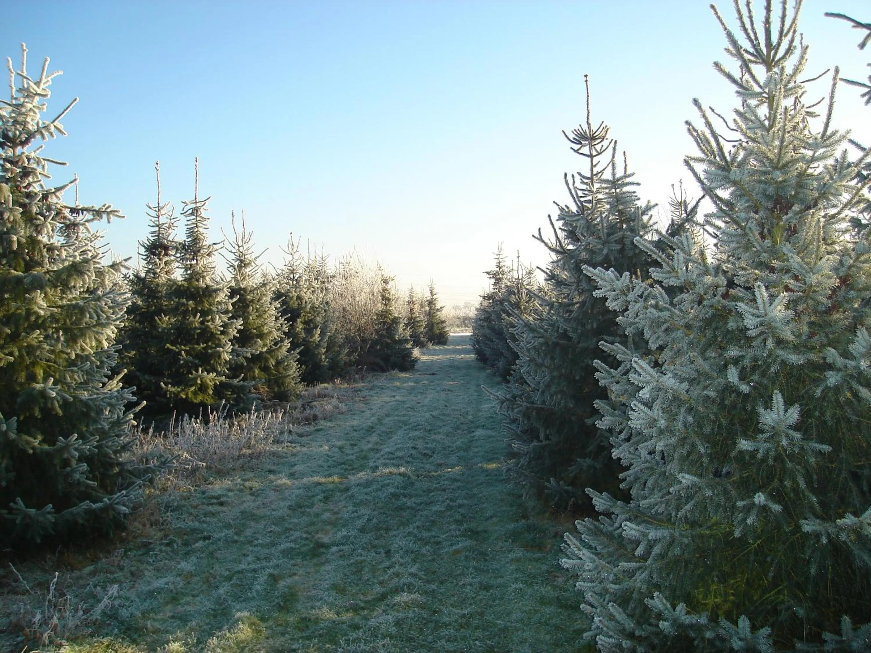 Area and facilities in Roing B&B