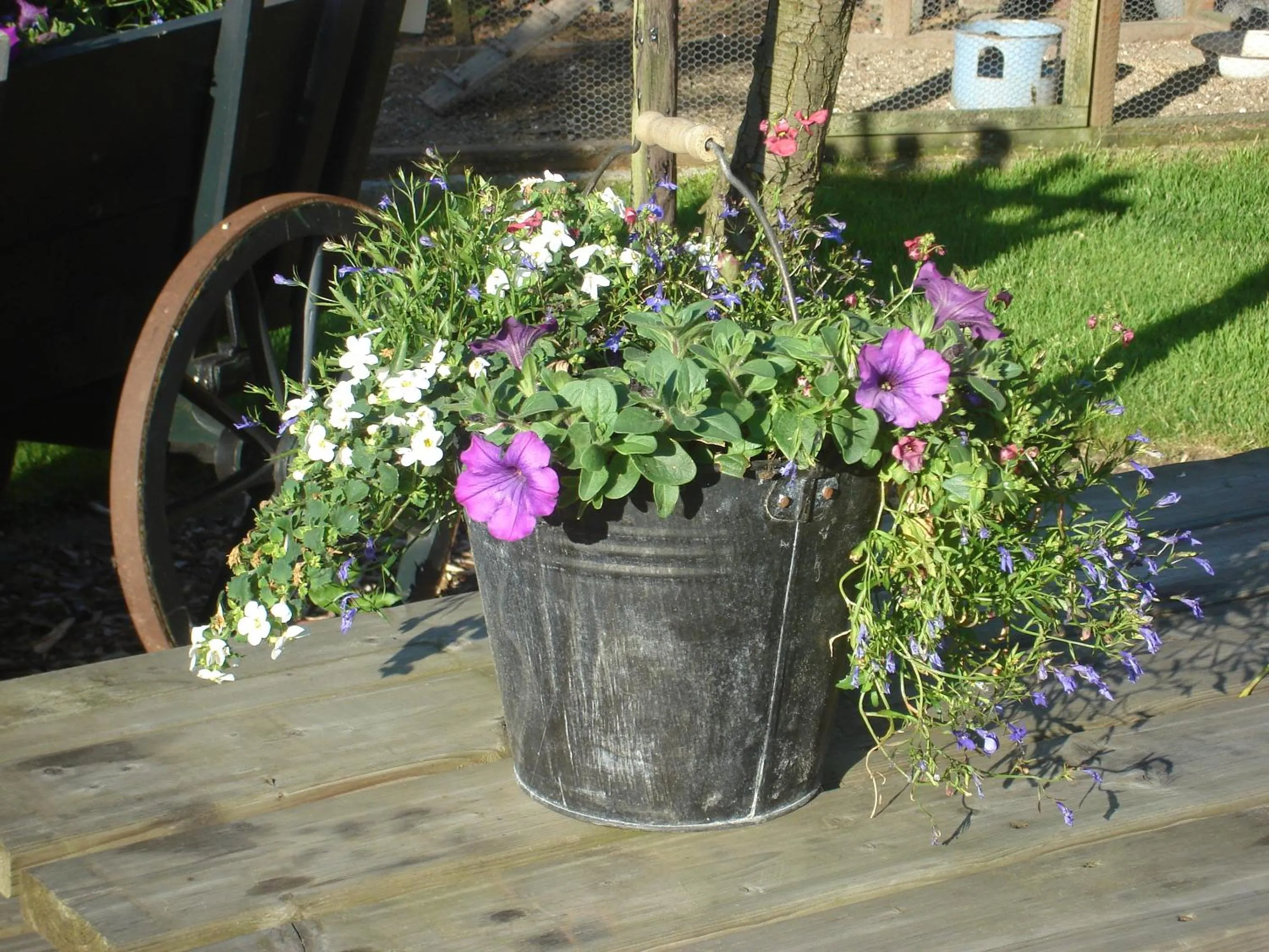 Balcony/Terrace in Roing B&B