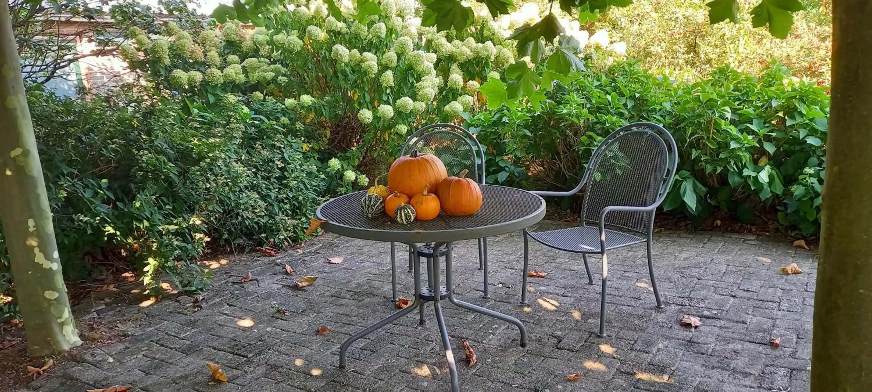 Seating area in Roing B&B