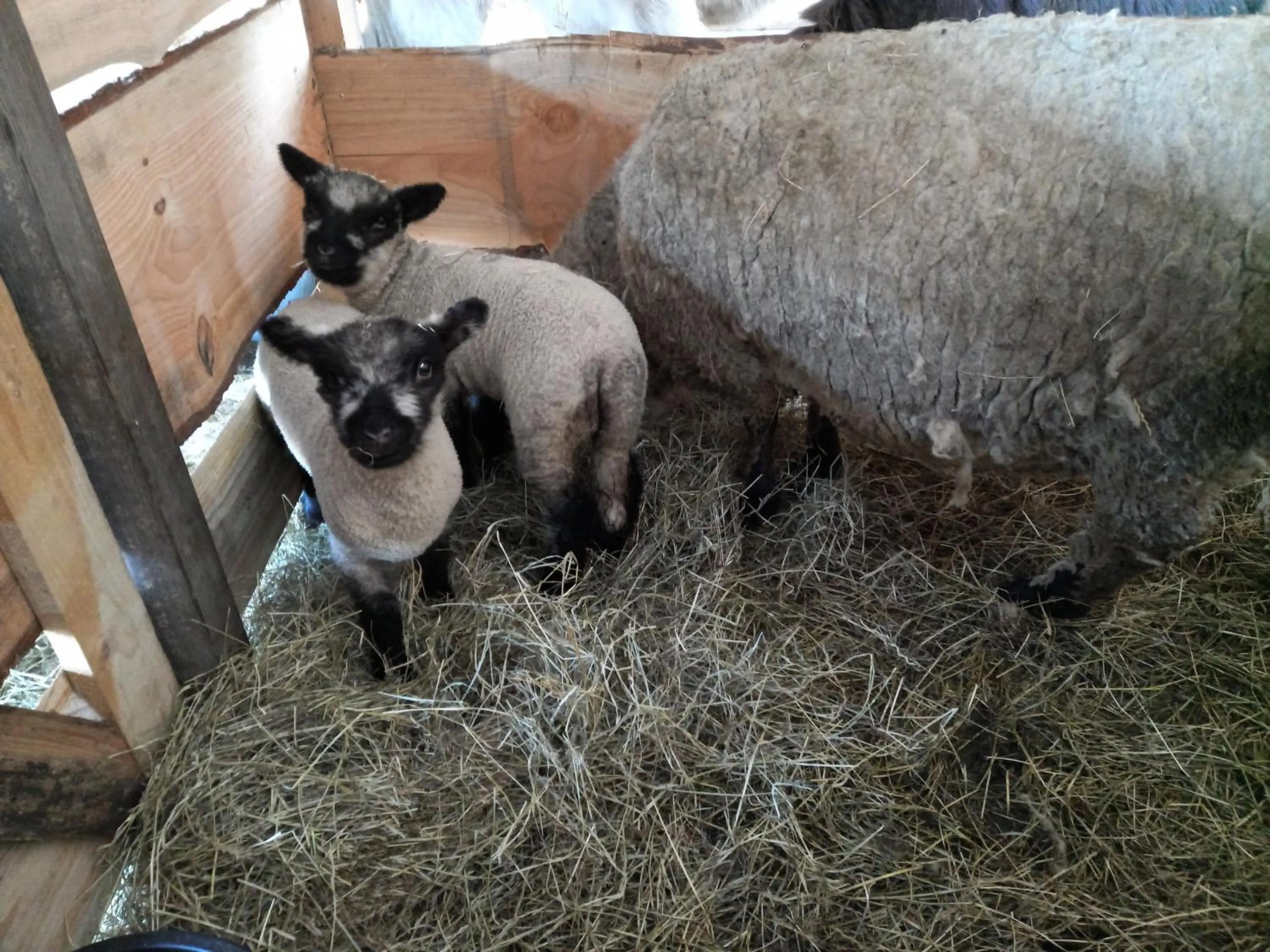 Landmark view in Roing B&B