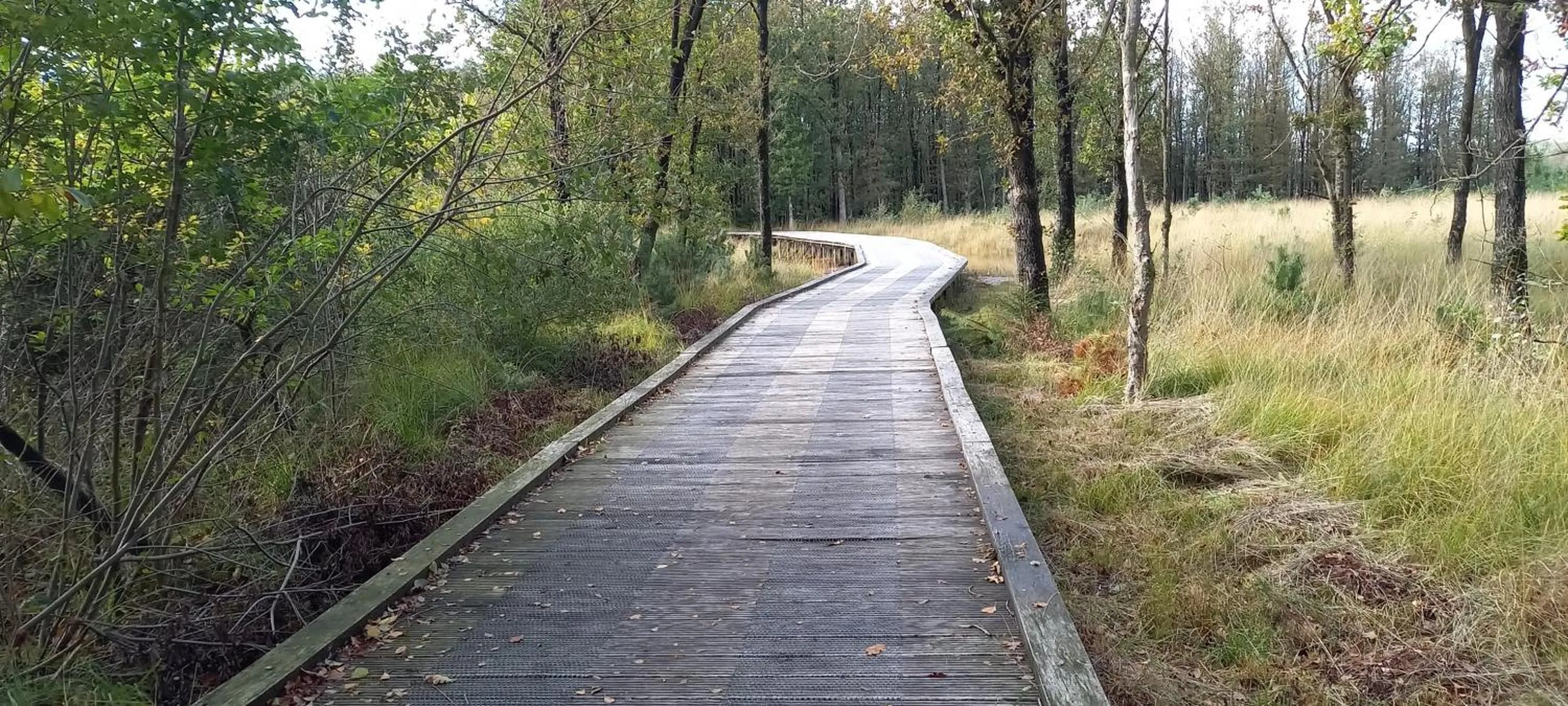 Natural landscape in Roing B&B