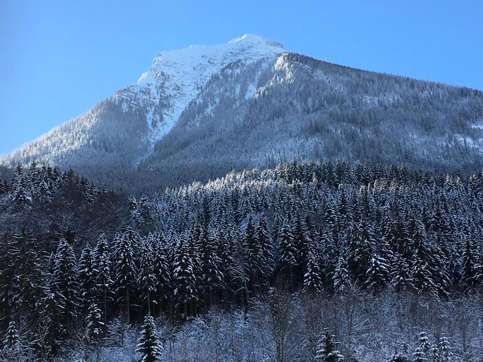 Natural landscape in Gasthof Oberwirt
