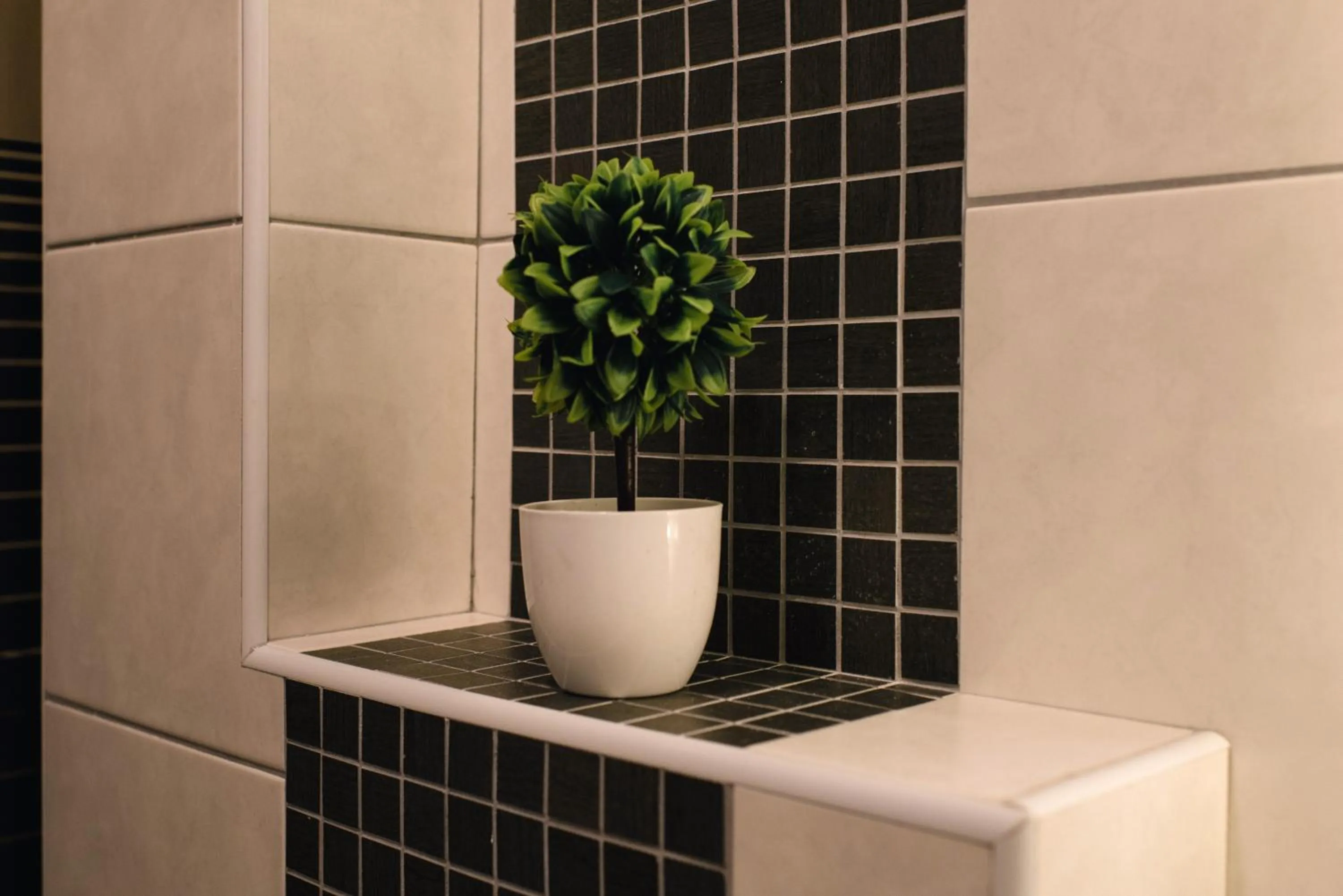 Shower in Hotel & Spa Meydan