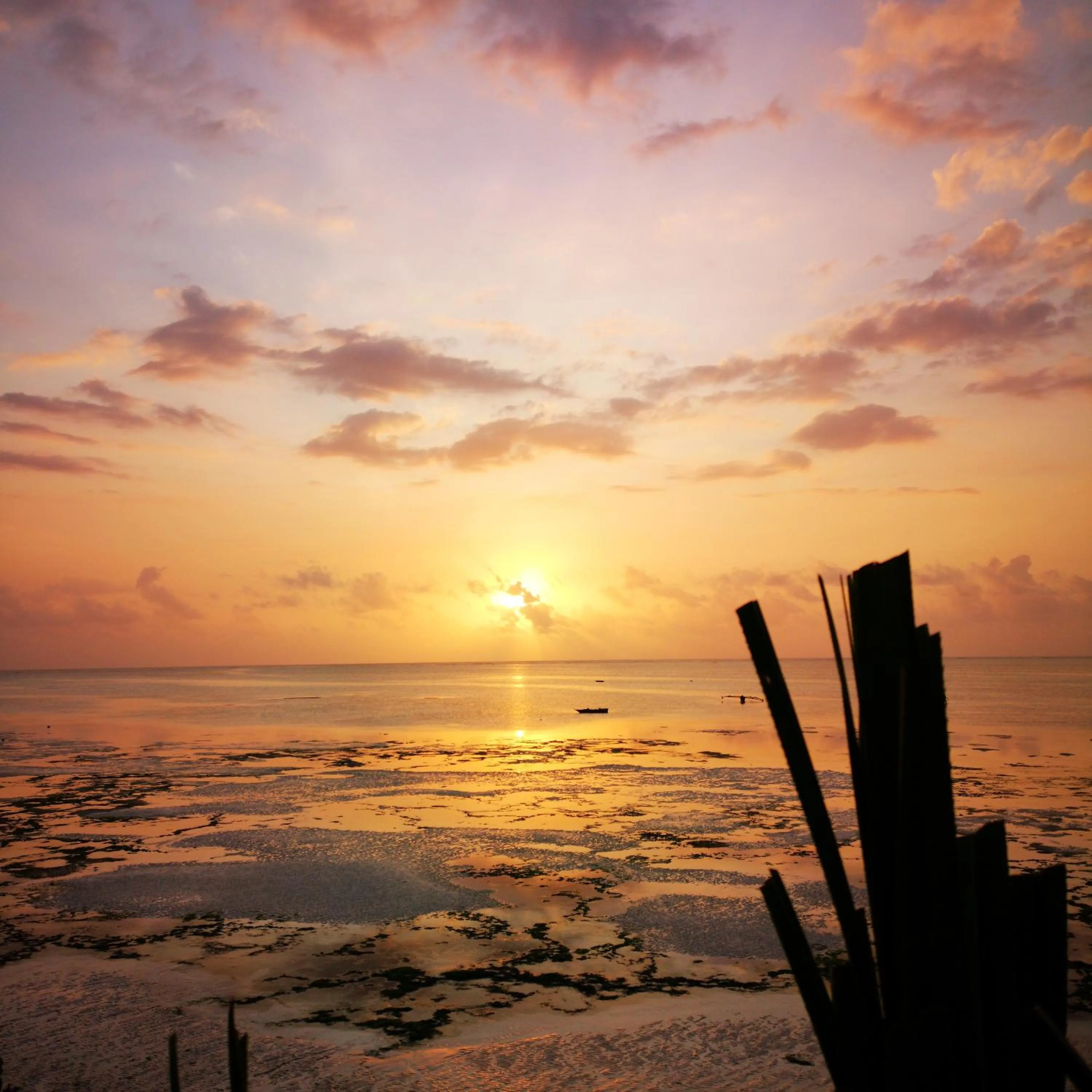 Beach in The Island - Pongwe Lodge