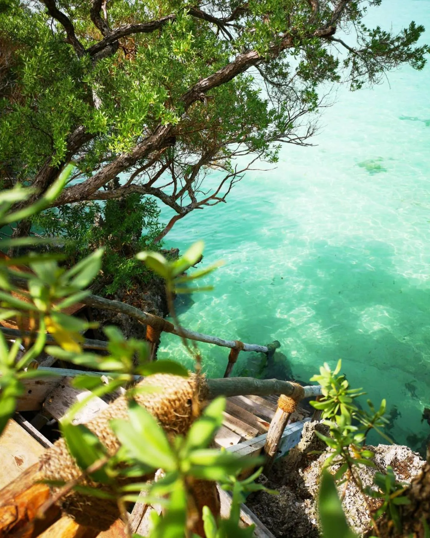 Balcony/Terrace in The Island - Pongwe Lodge