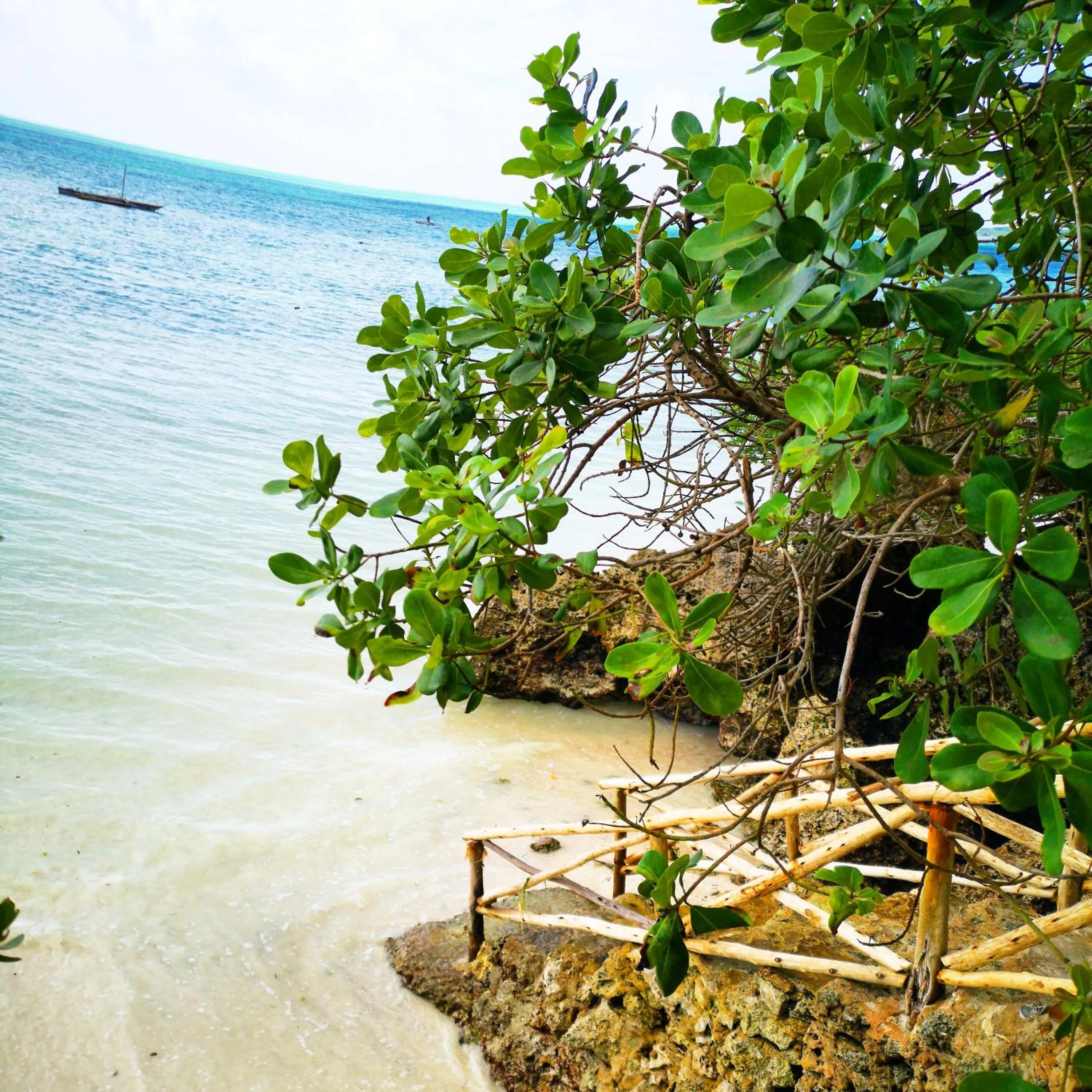 Beach in The Island - Pongwe Lodge