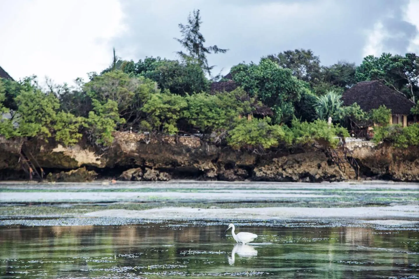 Nearby landmark in The Island - Pongwe Lodge