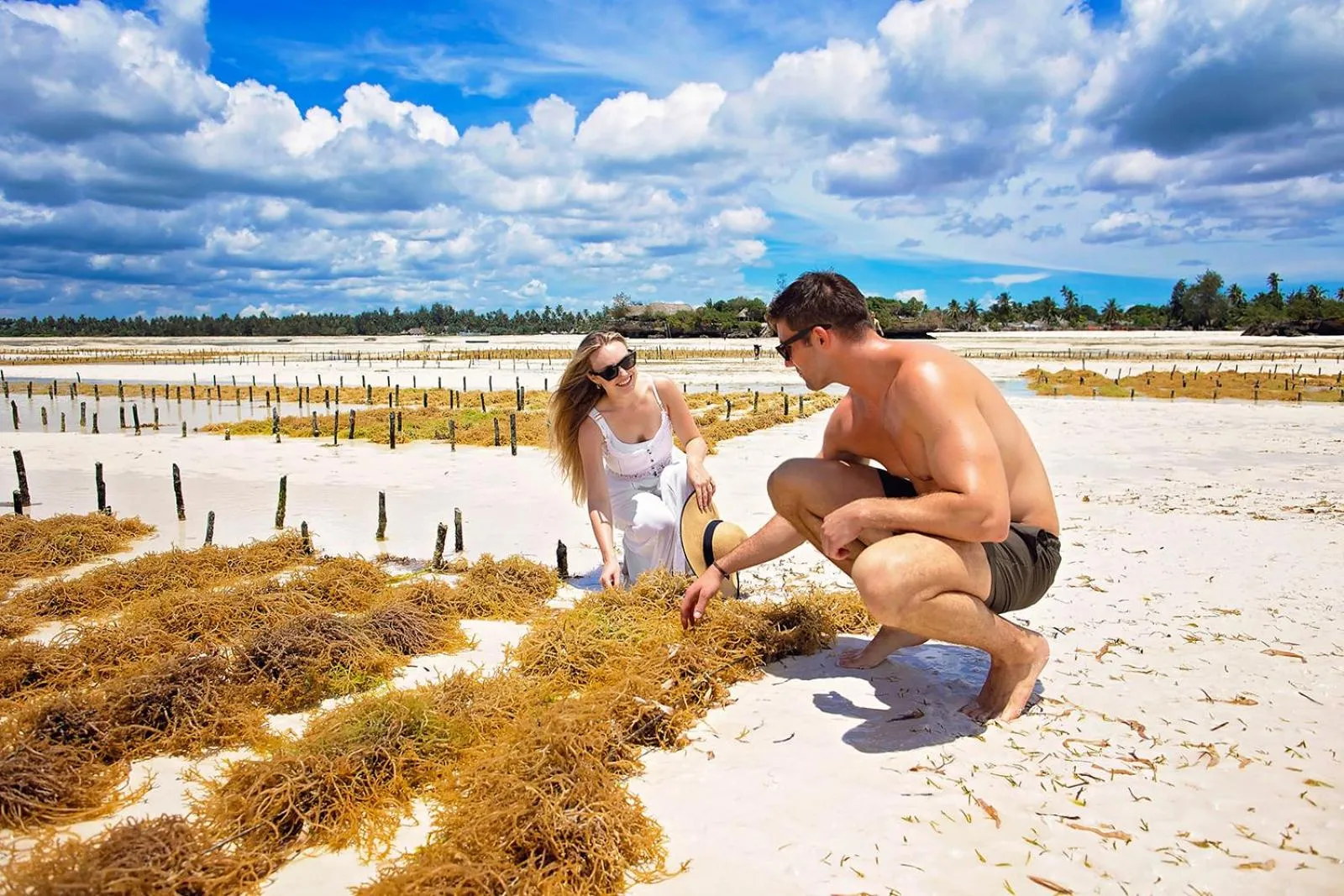 Beach in The Island - Pongwe Lodge