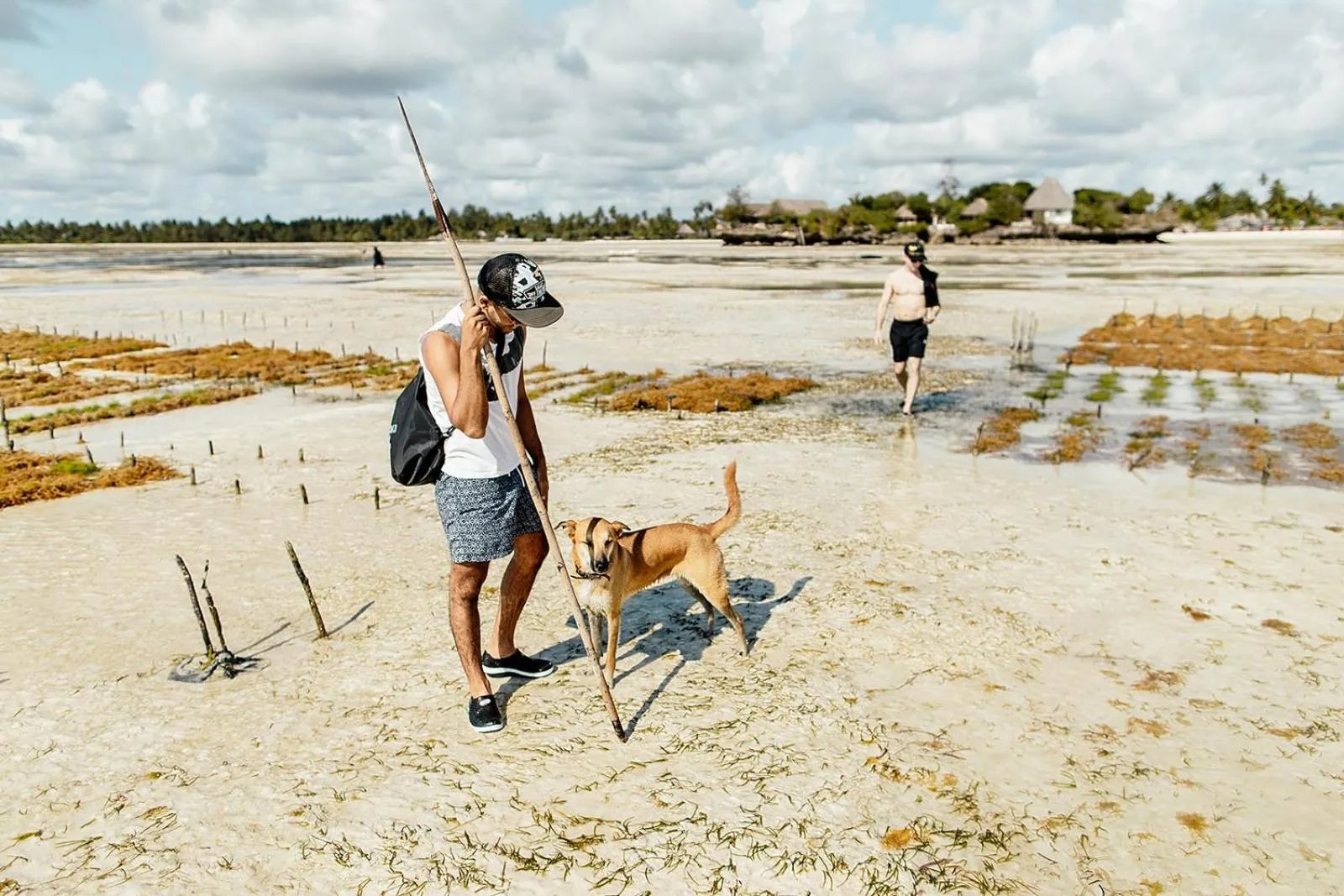 Fishing in The Island - Pongwe Lodge
