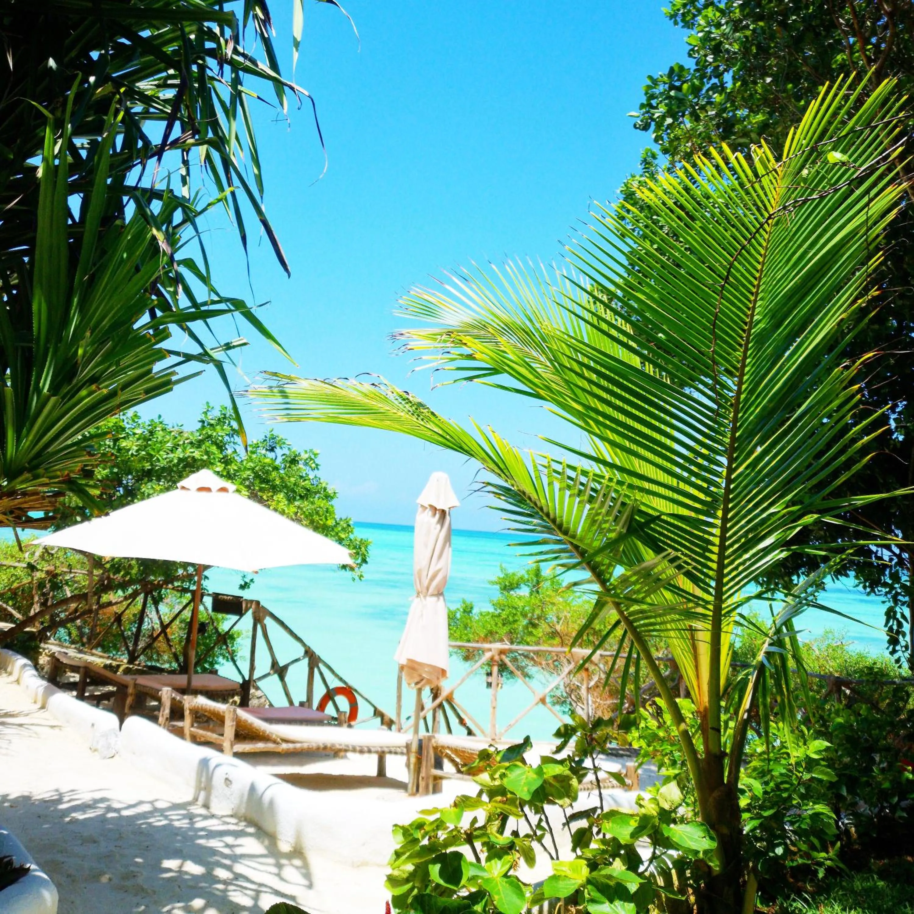 Garden in The Island - Pongwe Lodge
