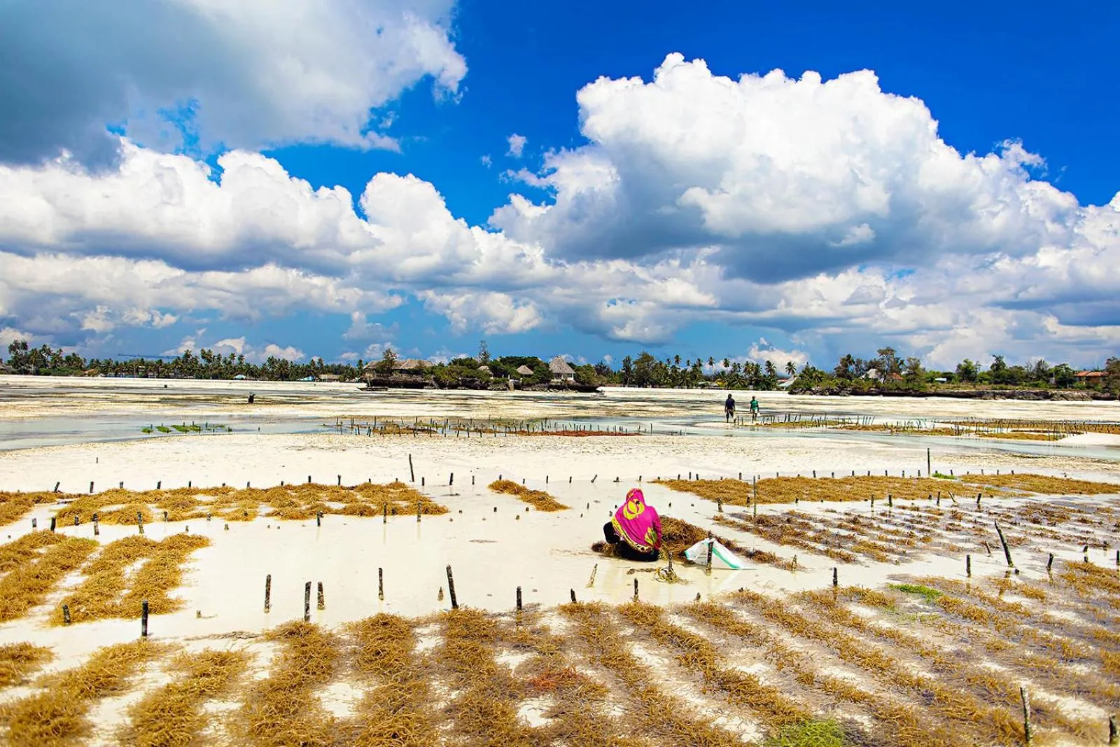 Property building in The Island - Pongwe Lodge
